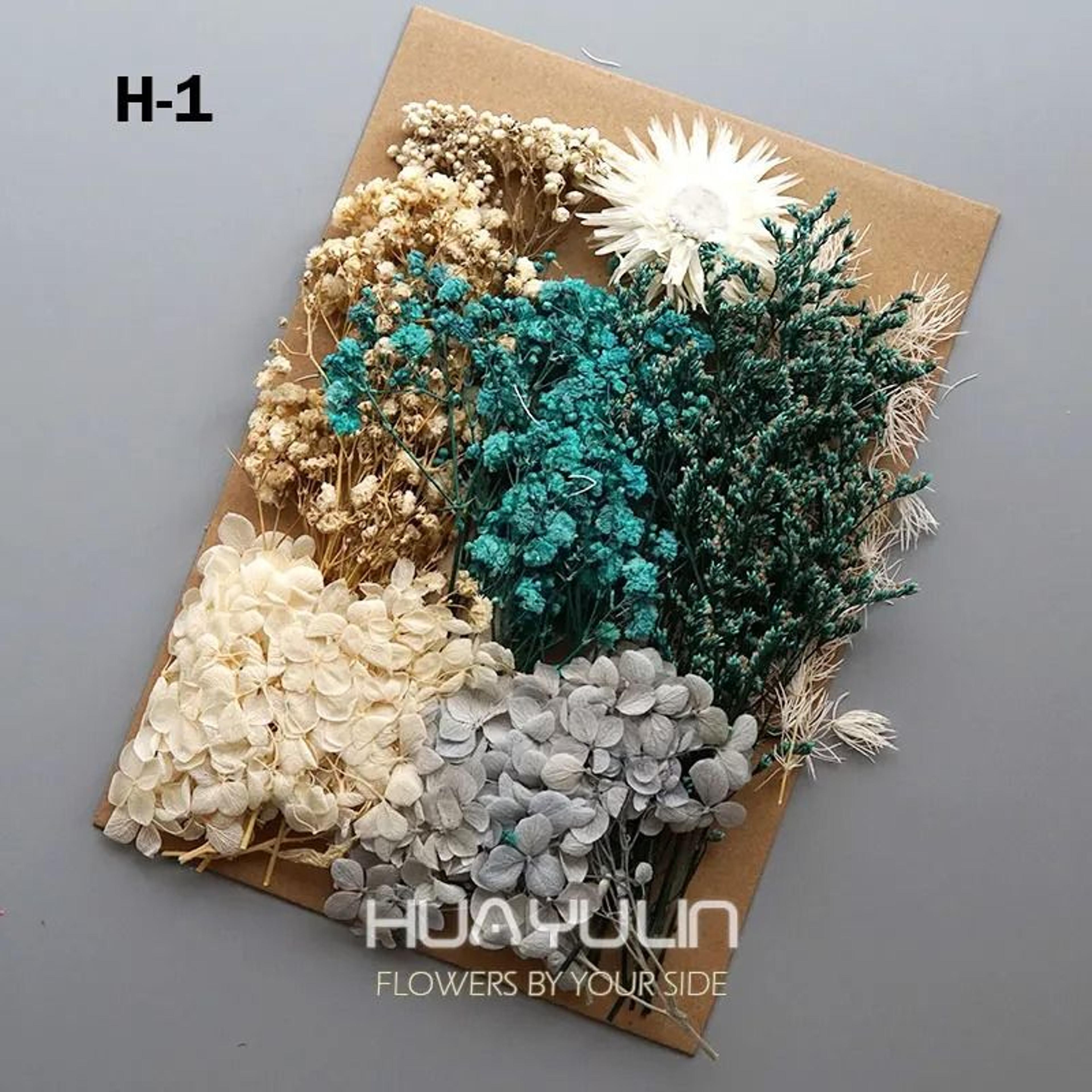 Preserved Hydrangea Dried Flower Kit For Resin Crafts And Candle Making 14