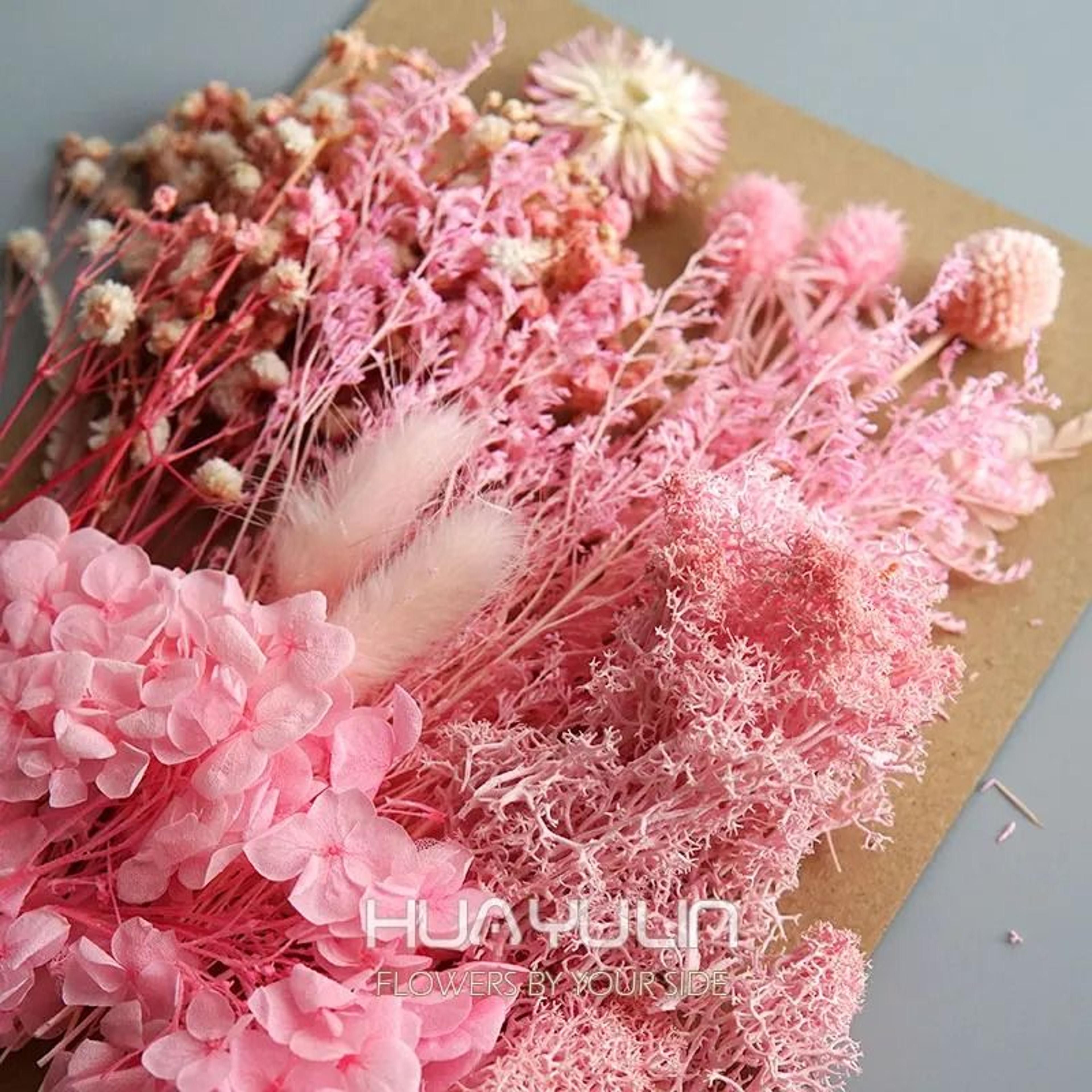 Preserved Hydrangea Dried Flower Kit For Resin Crafts And Candle Making 2