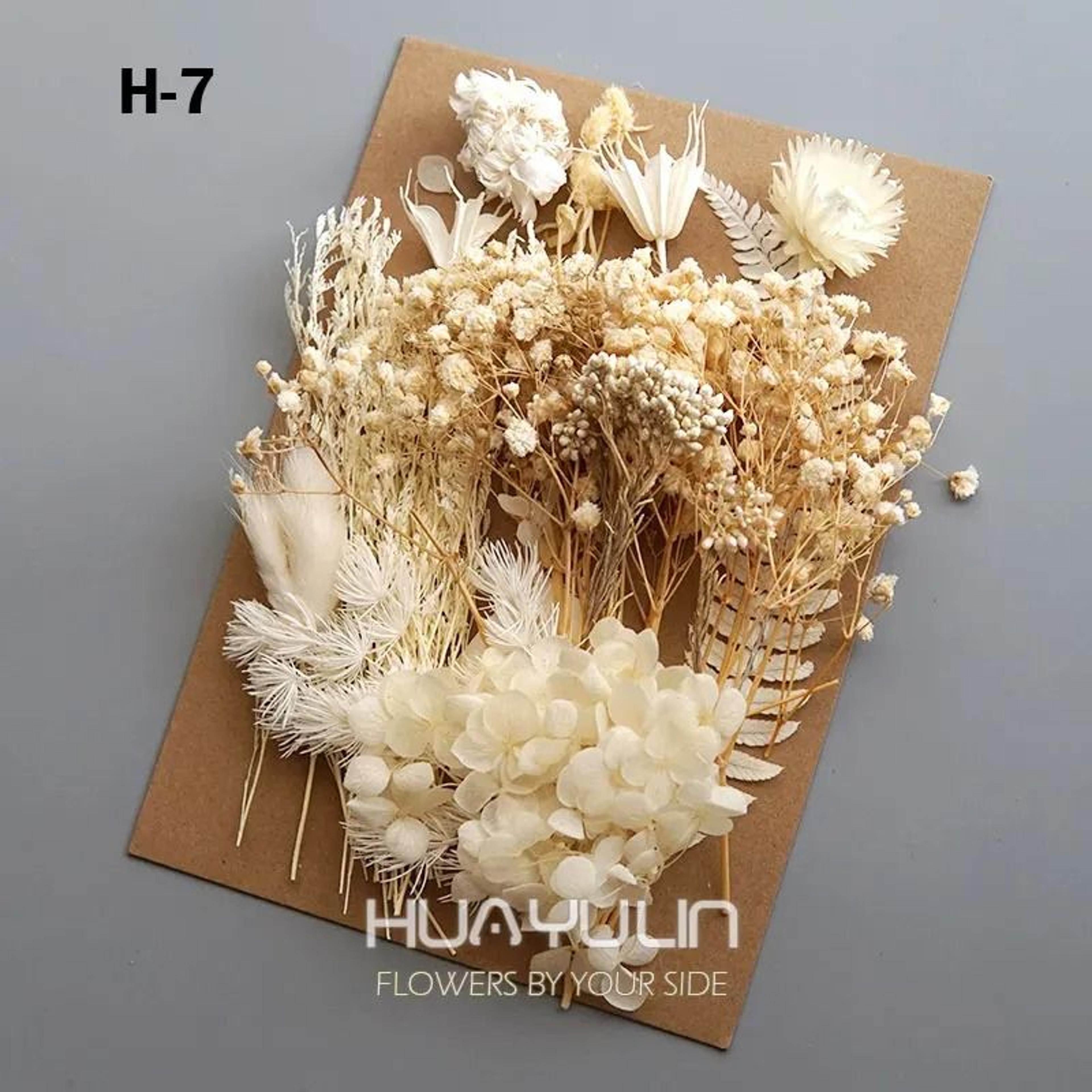 Preserved Hydrangea Dried Flower Kit For Resin Crafts And Candle Making 20