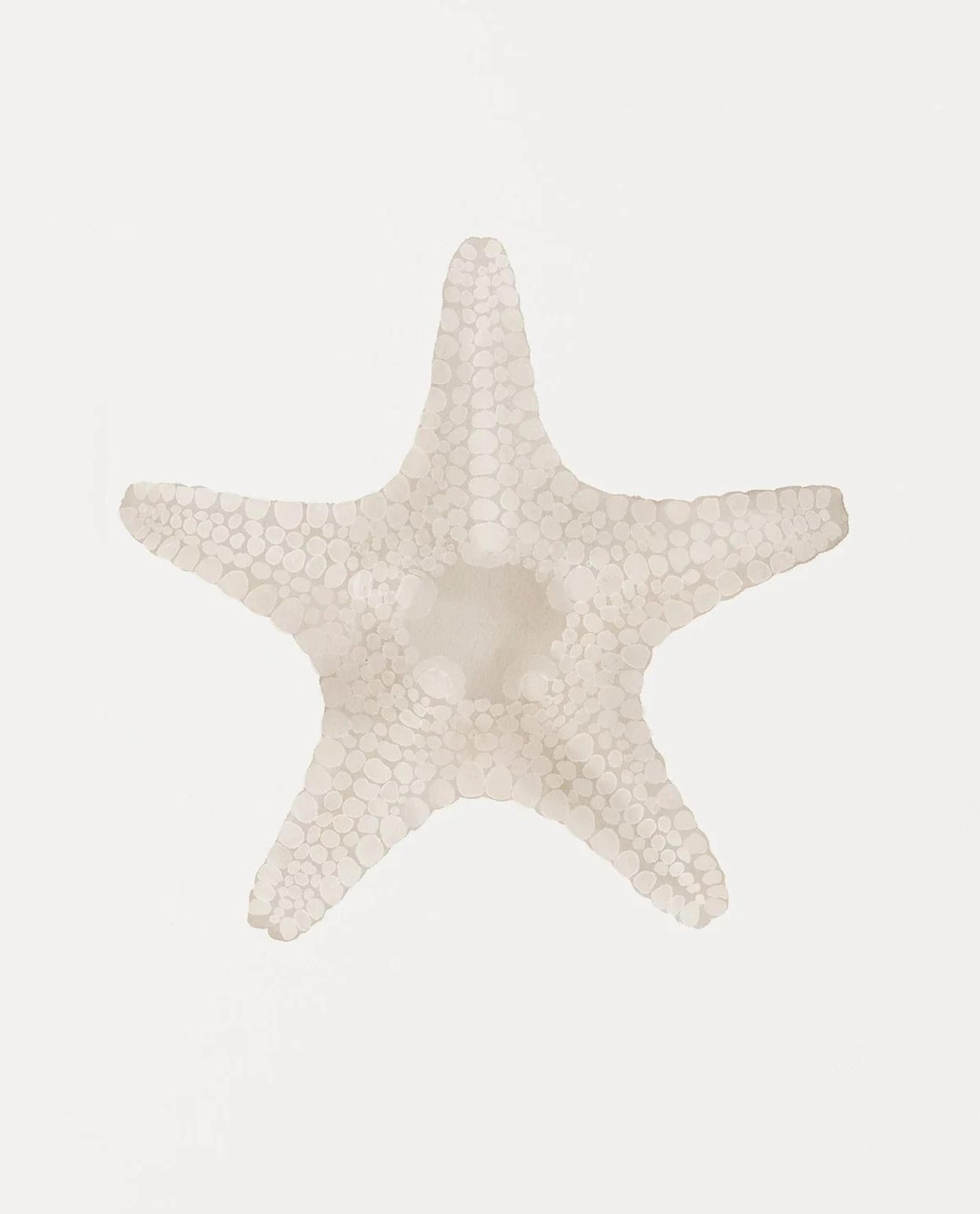 Watercolor Sea Shell Wall Art Canvas Set Starfish Coastal Prints For Living Room Decor 10
