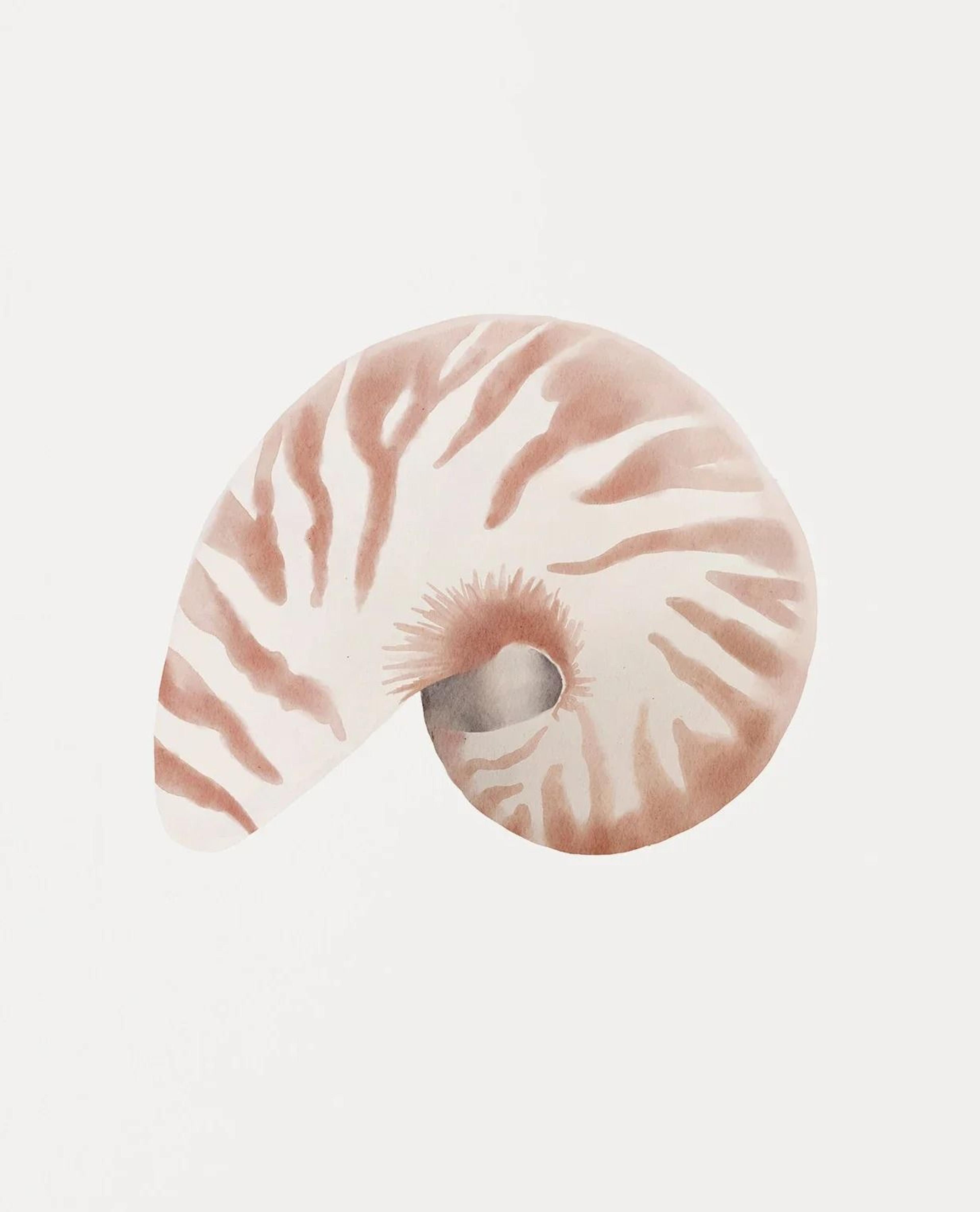 Watercolor Sea Shell Wall Art Canvas Set Starfish Coastal Prints For Living Room Decor 6