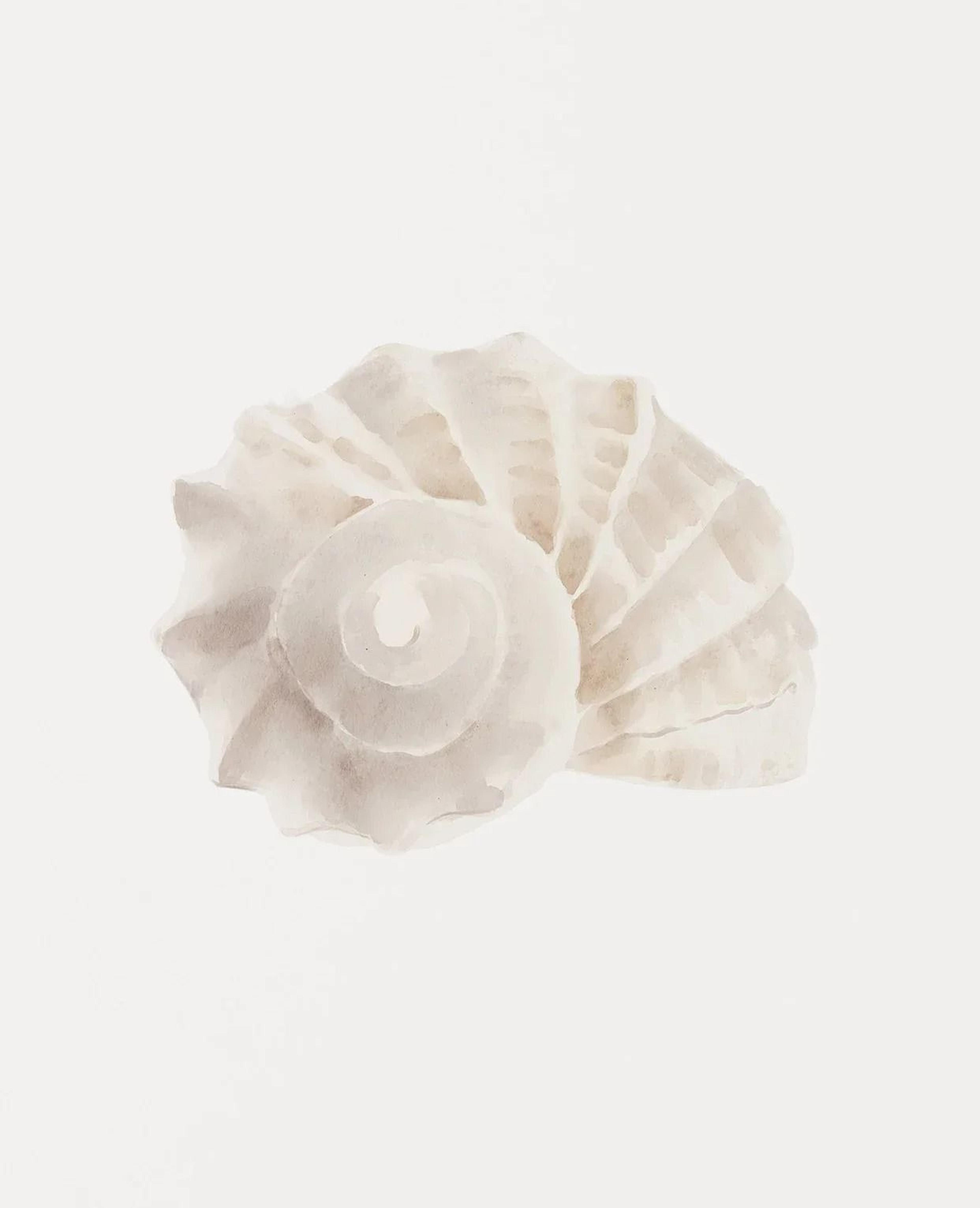 Watercolor Sea Shell Wall Art Canvas Set Starfish Coastal Prints For Living Room Decor 12