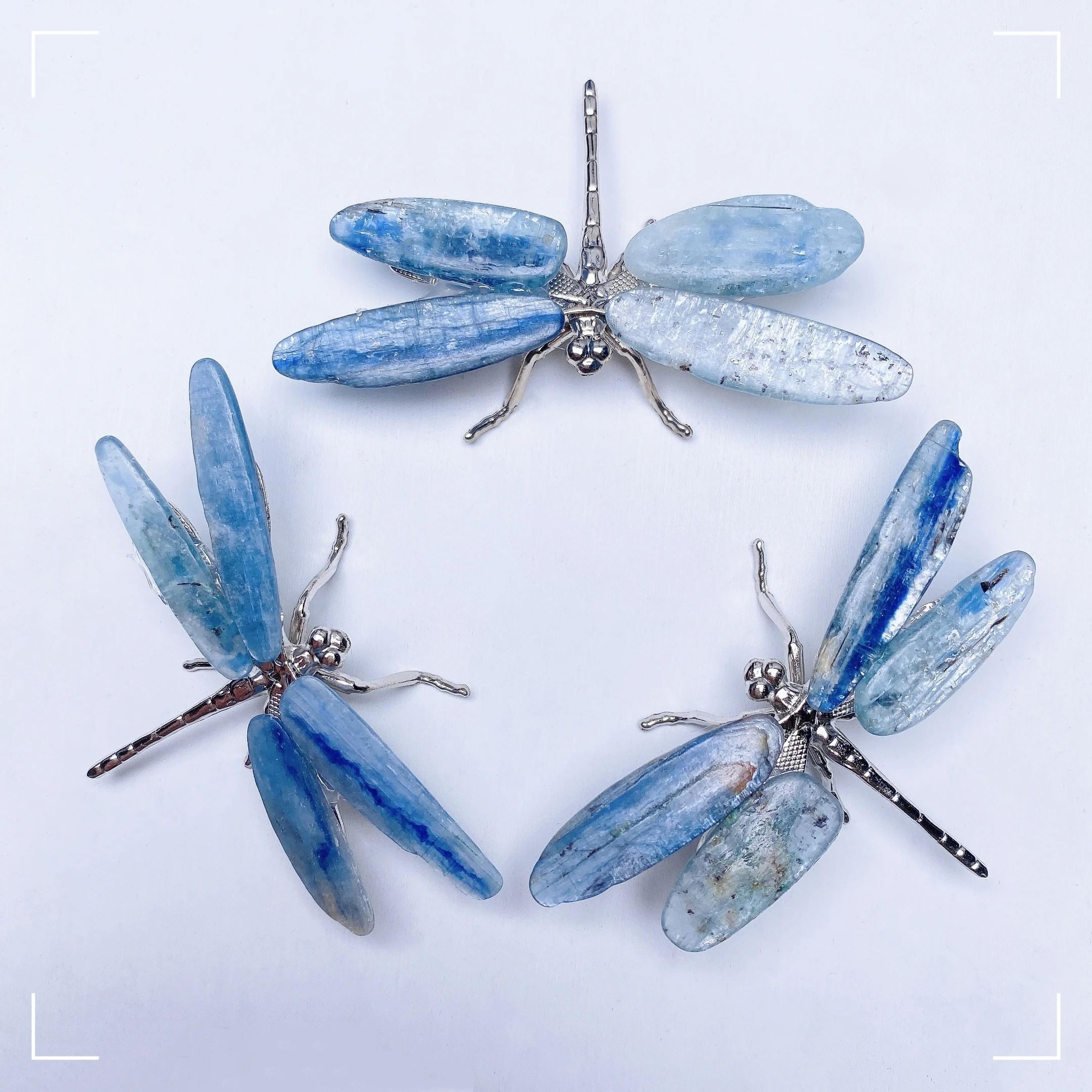 Natural Kyanite Dragonfly Crystal Figurine Healing Decor 4
