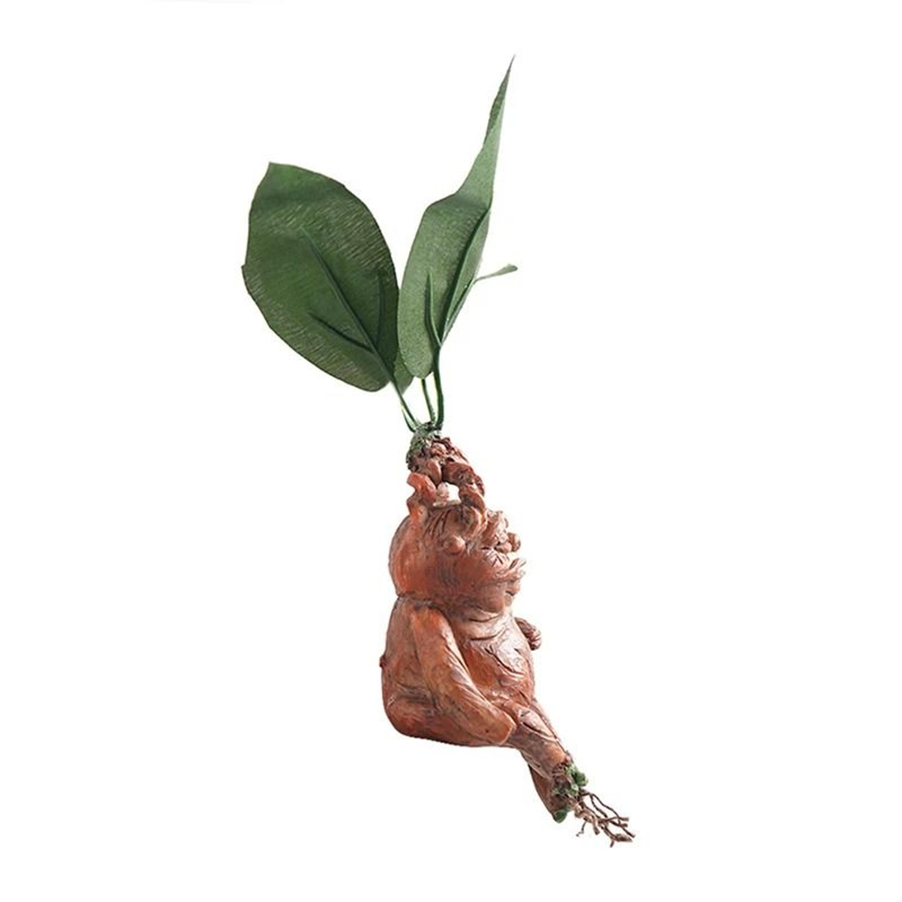 Mystical Mandrake Resin Garden Statue  Fantasy Plant Ornament For Home  Outdoor Decor 3
