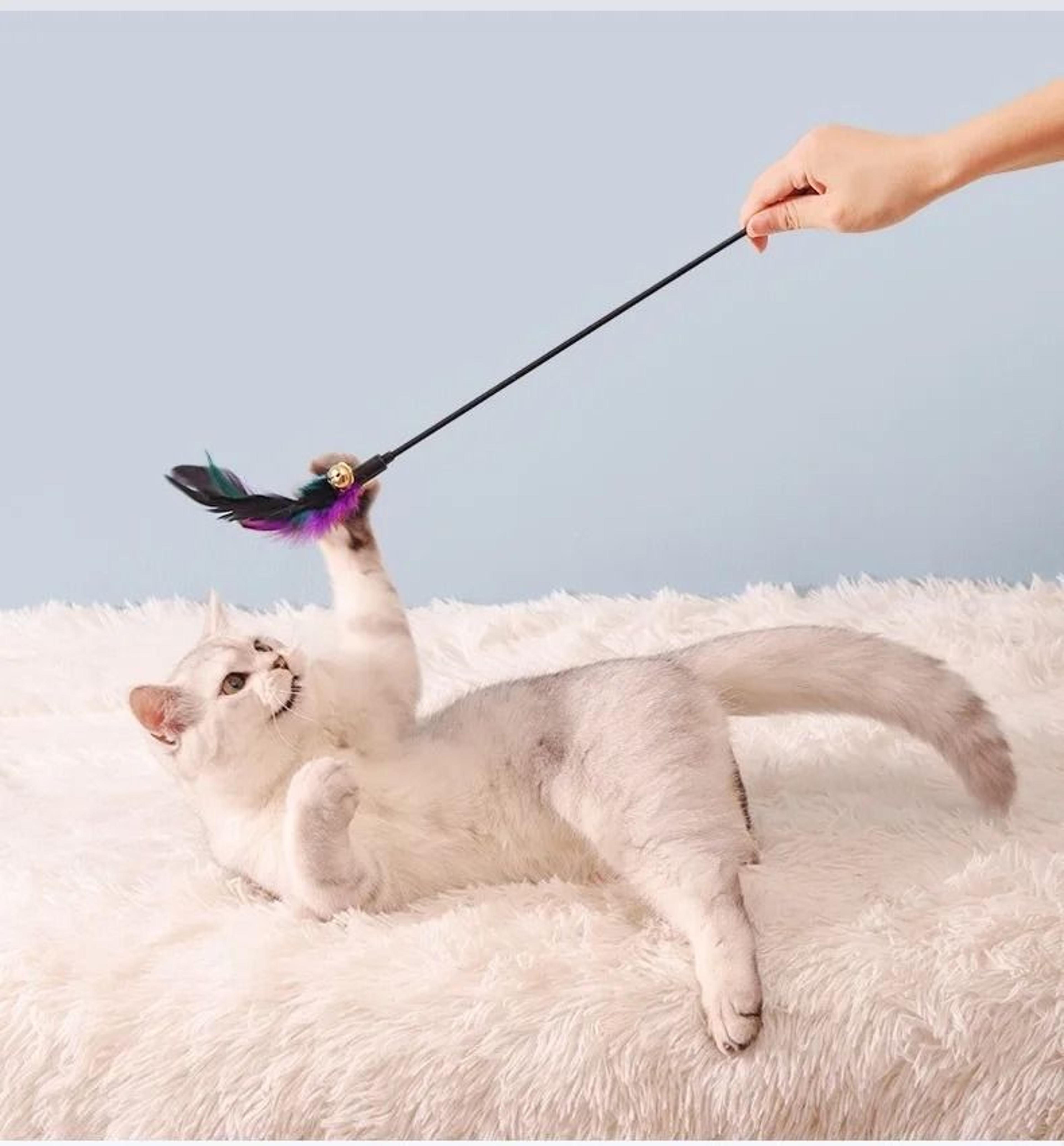 5Piece Interactive Feather Cat Wand Toy Set With Bells 3