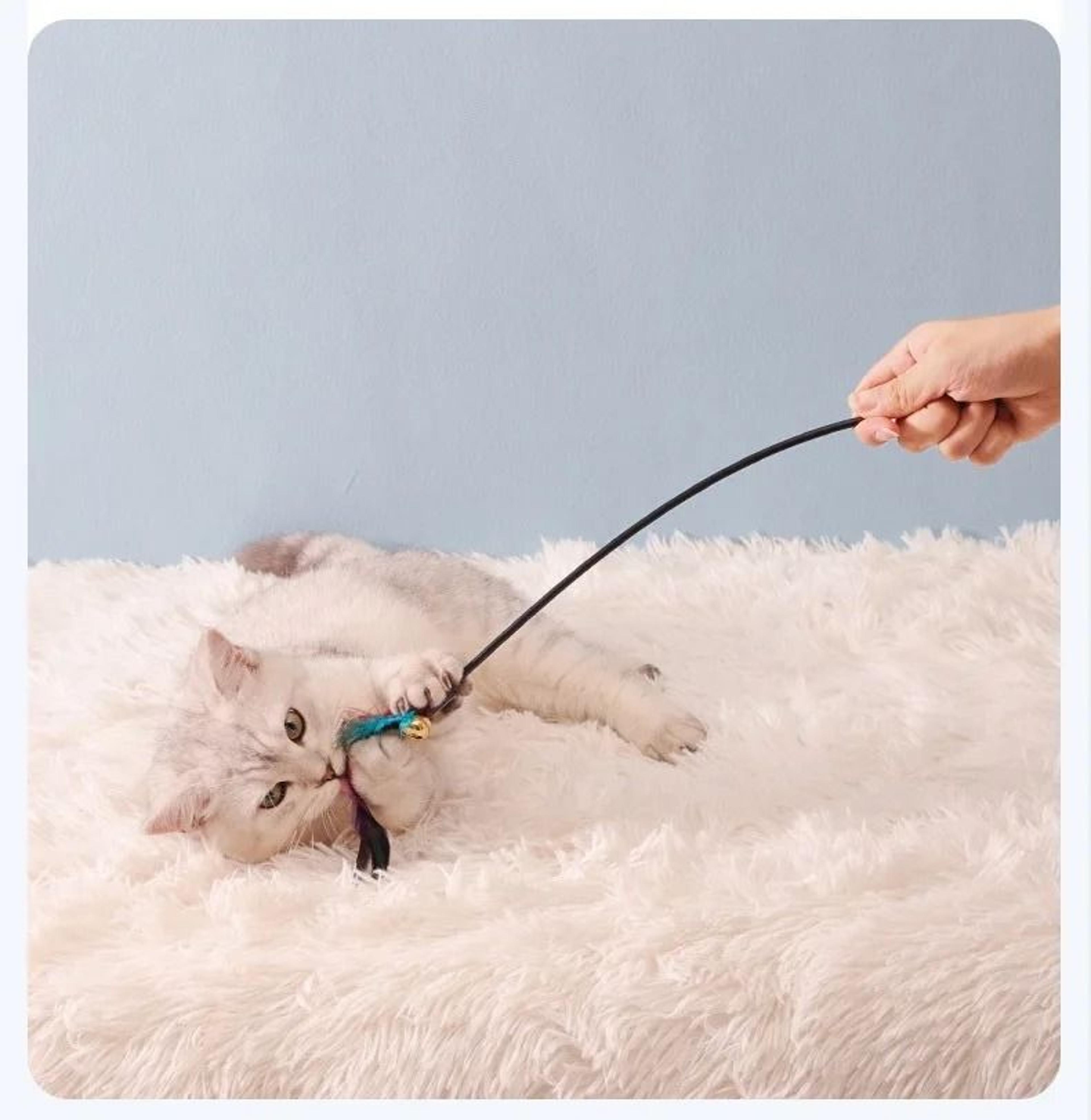 5Piece Interactive Feather Cat Wand Toy Set With Bells 4