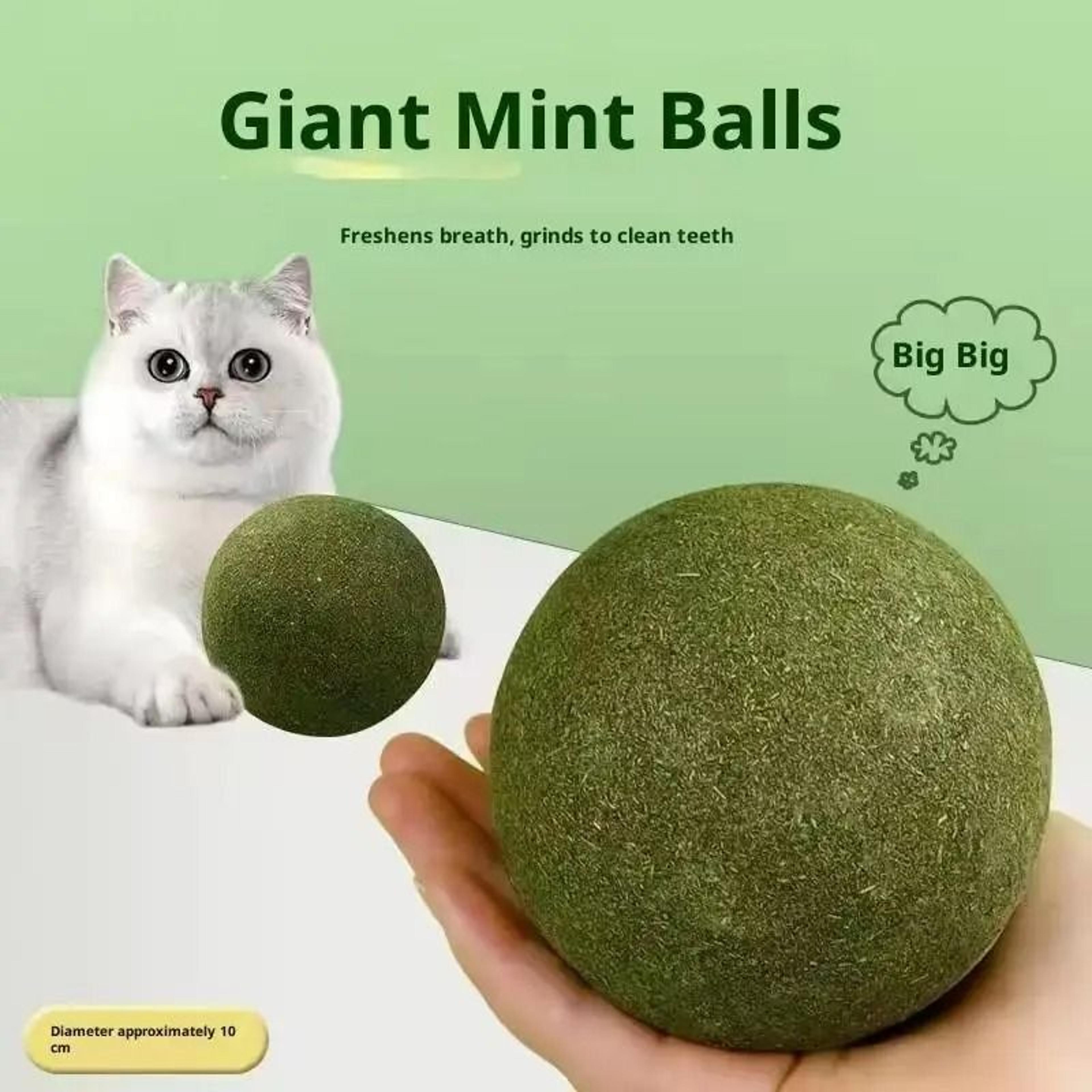 PurrMint Natural Catnip Lick Ball  Long Lasting Calming  Chew Toy For Cats 4