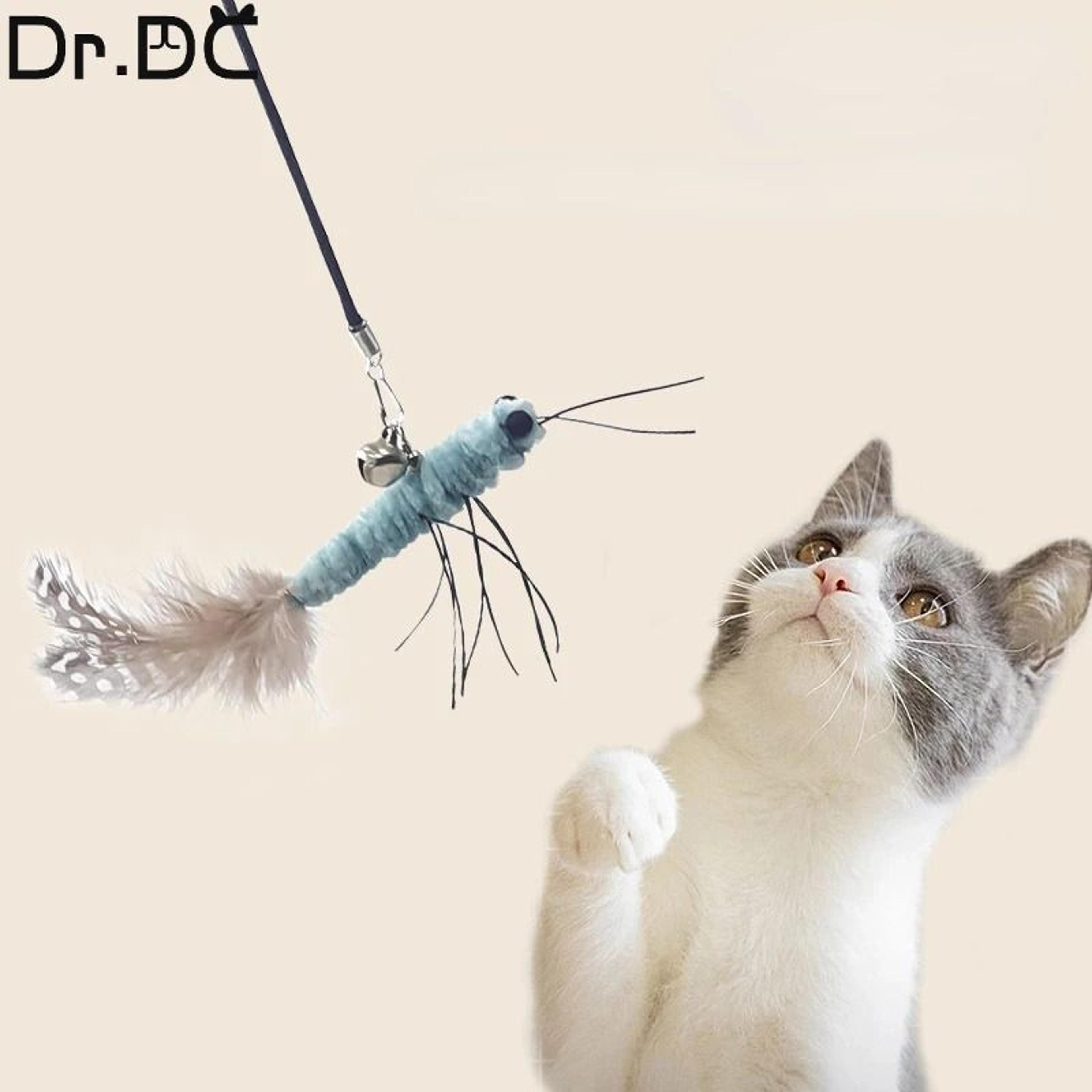 Dragonfly Feather Cat Teaser Wand Toy 4