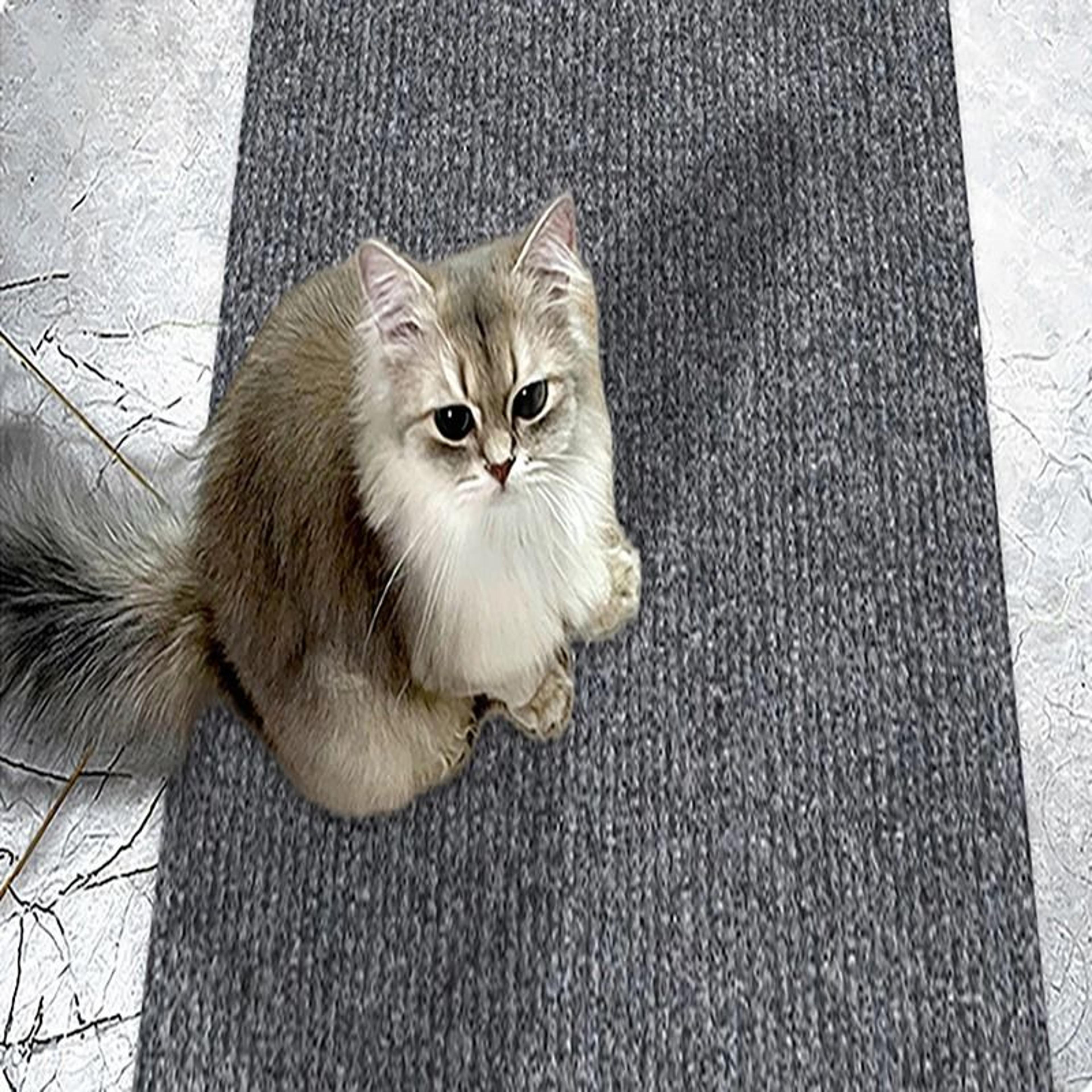 SelfAdhesive Cat Climbing Wall Mat  Scratch Protection Cover For Furniture Sofas And Walls 4