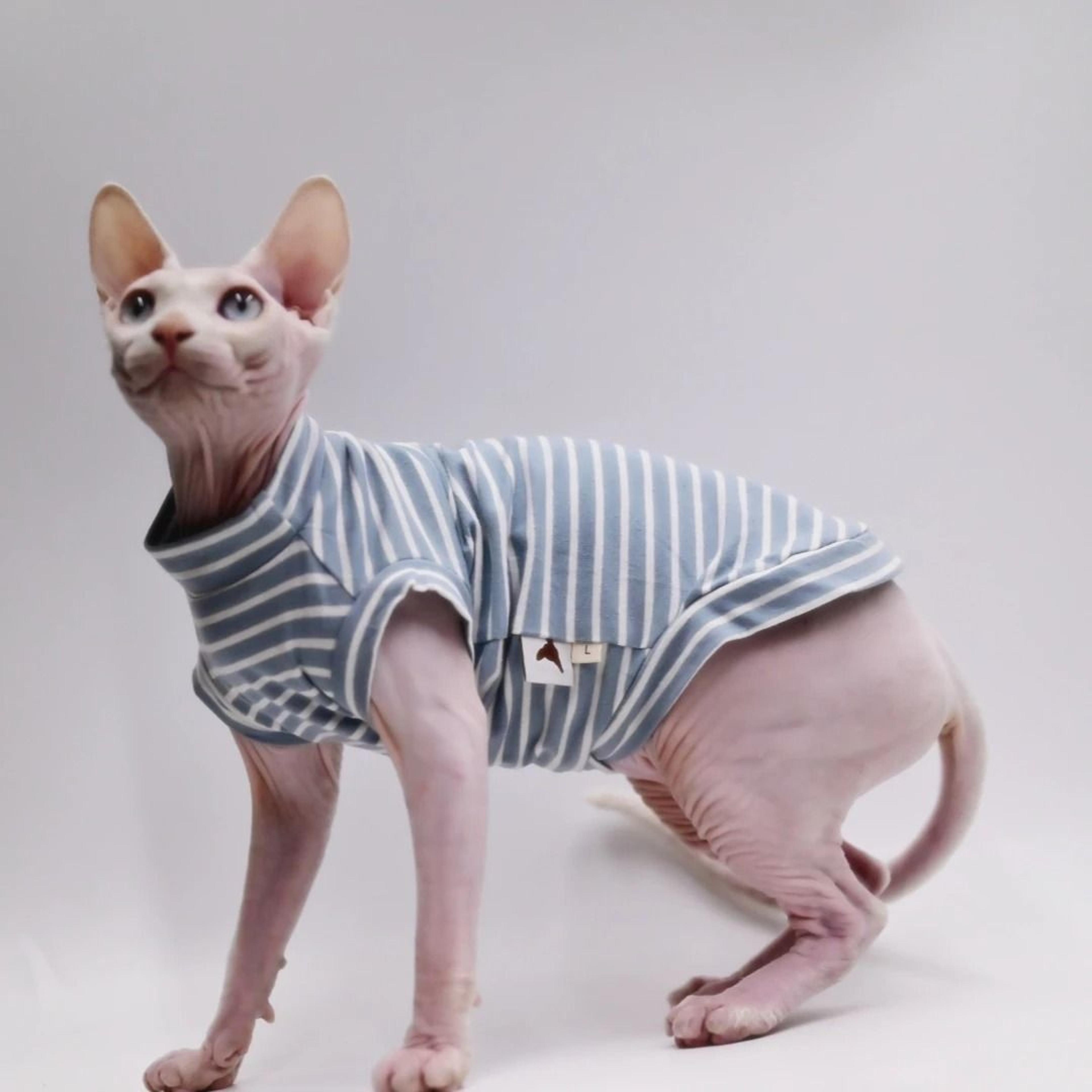 Cooling Cotton Summer Vest For Sphynx  Hairless Cats 3