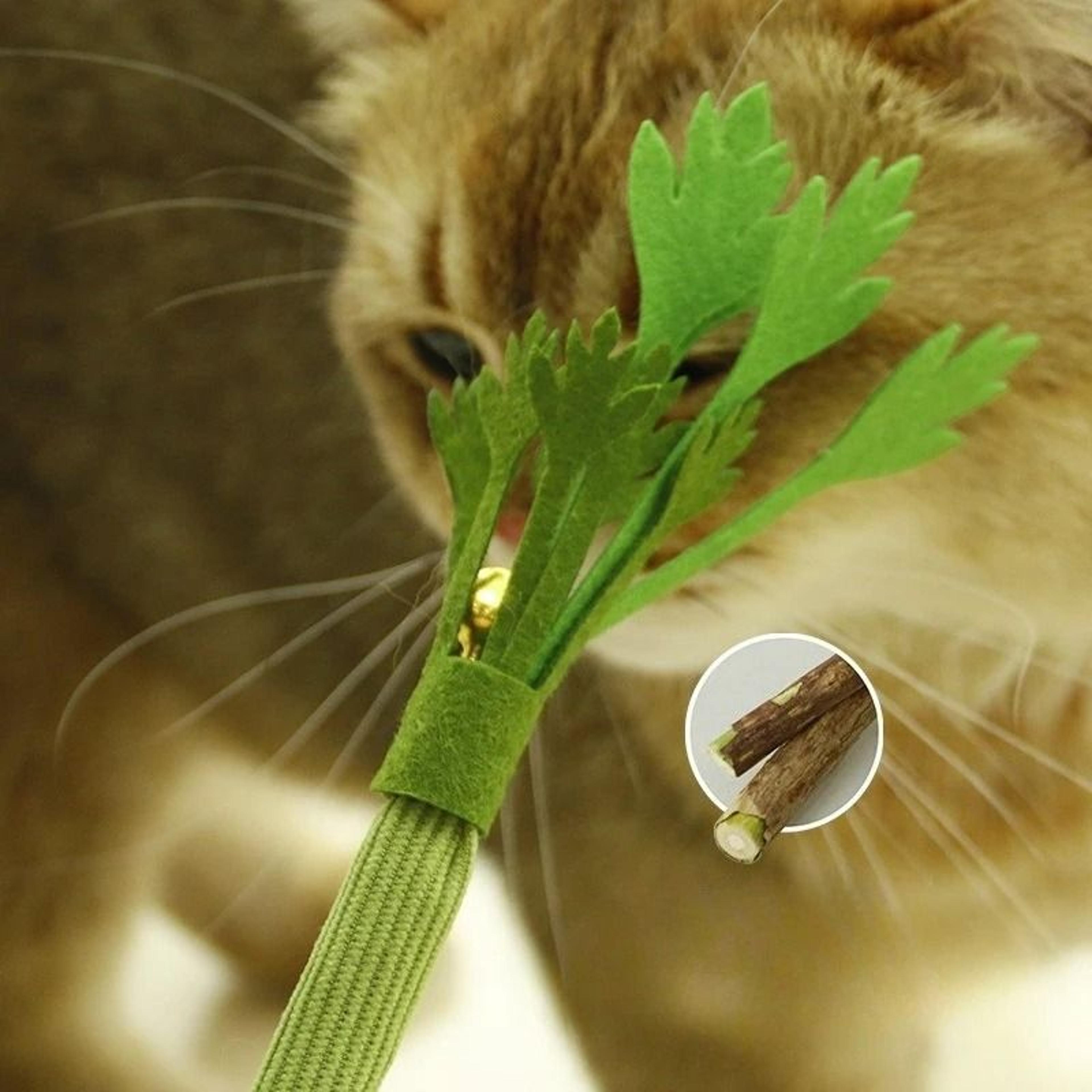 Natural Catnip Molar Stick Chew Toy With Bell For Teeth Cleaning  Interactive Play 1