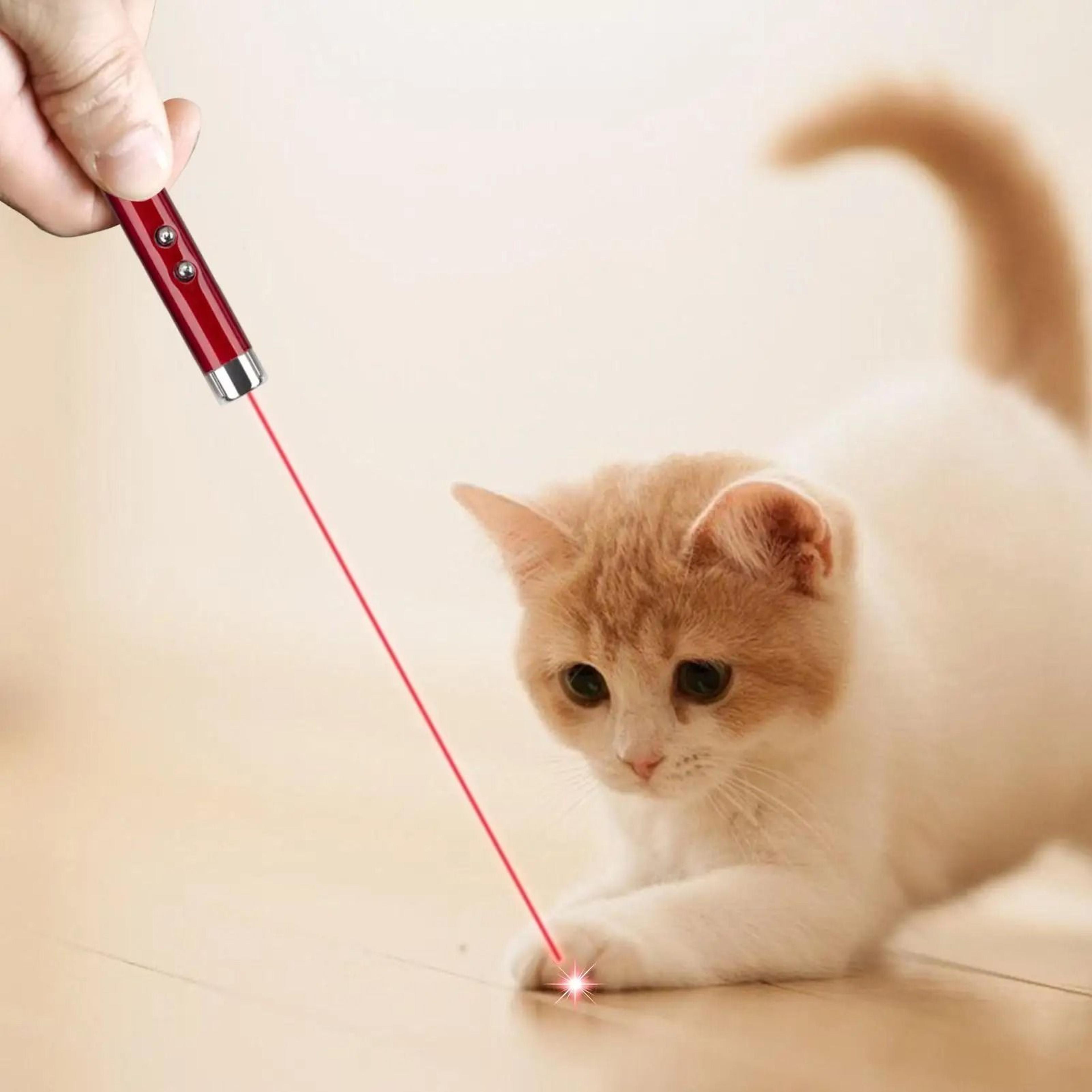 Interactive Laser Pointer Cat Toy For Exercise Training And Indoor Play 4