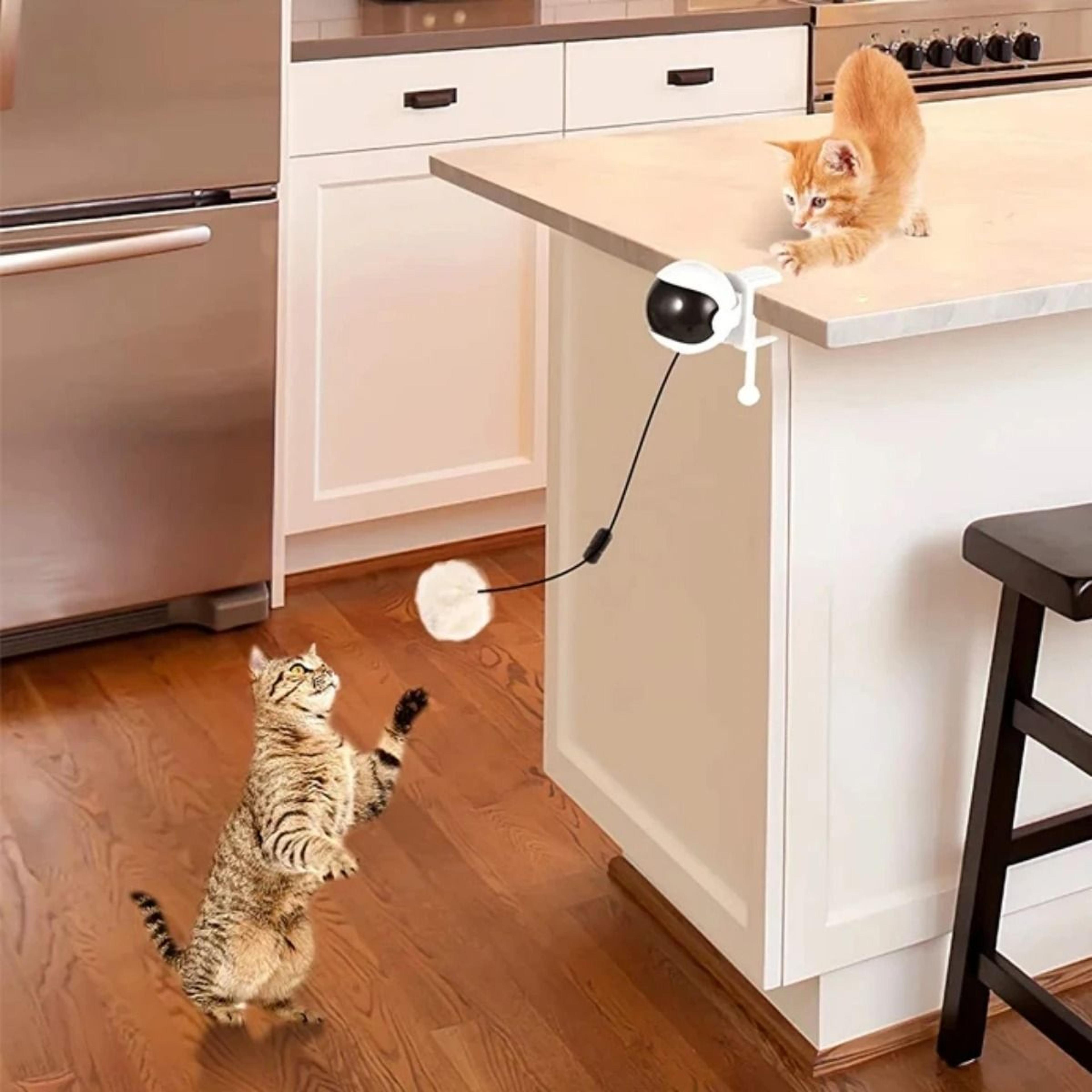 Interactive Electric Lifting Ball Cat Toy With Automatic Retractable Motion 3