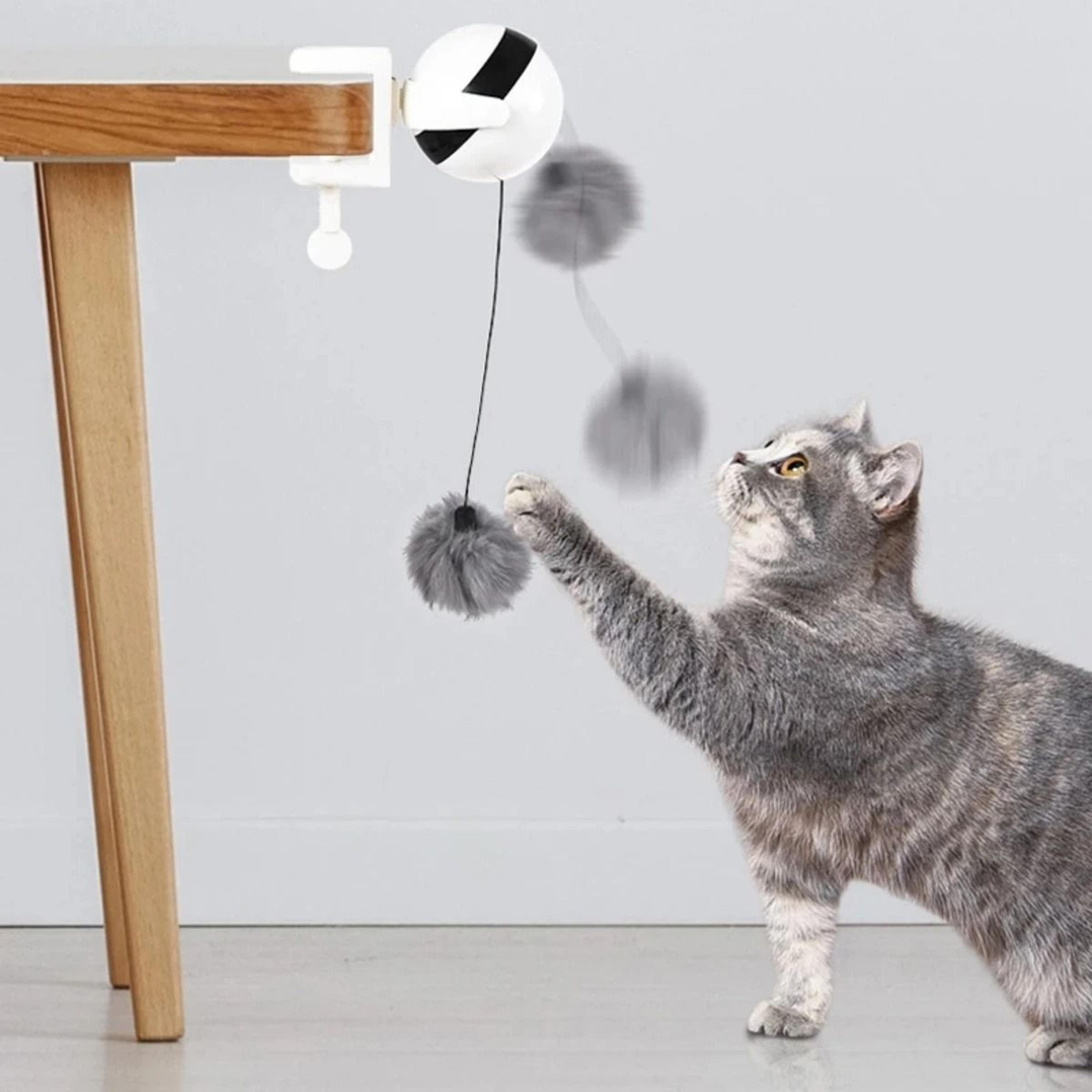 Interactive Electric Lifting Ball Cat Toy With Automatic Retractable Motion 4