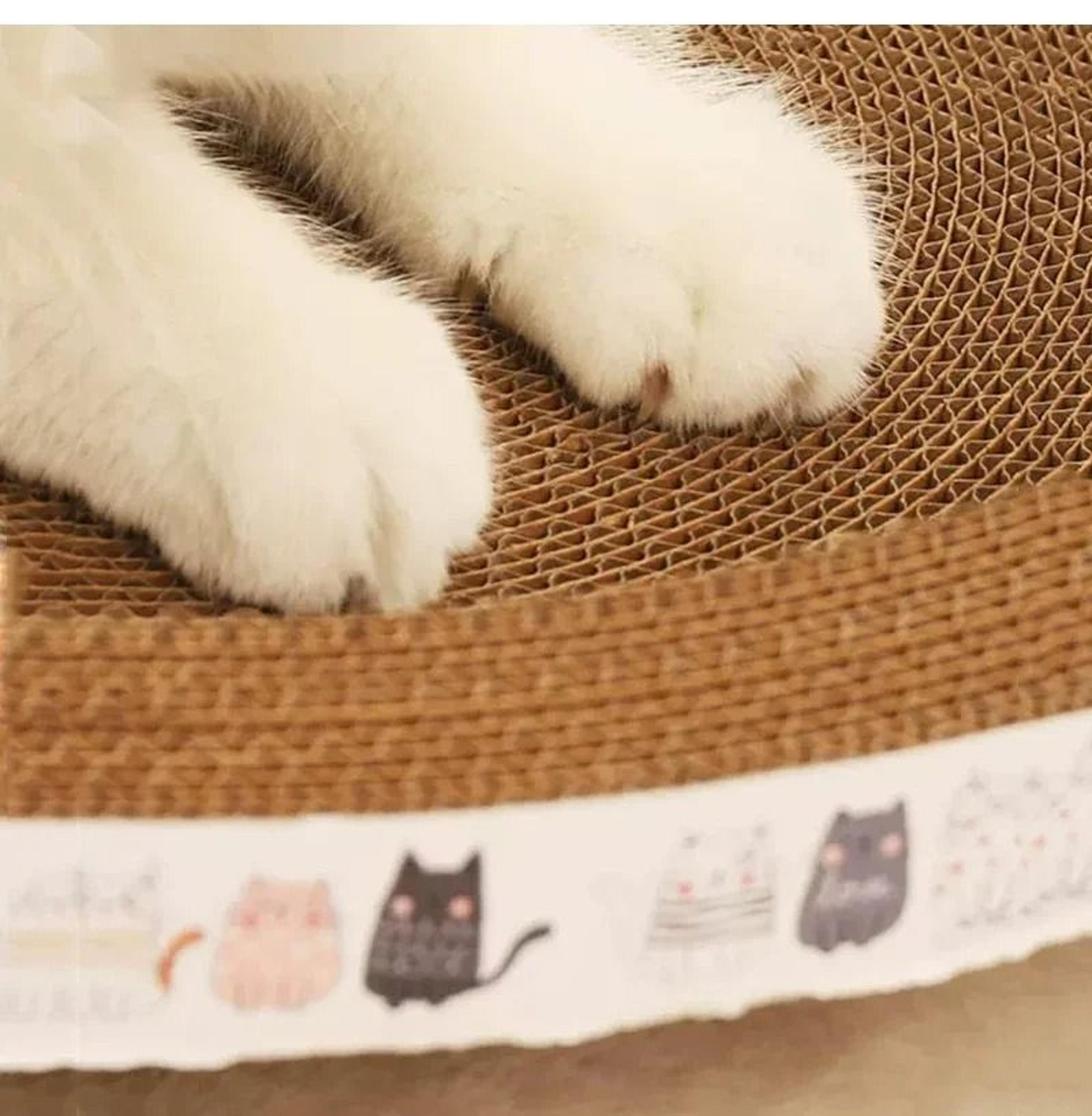 ScratchLounge Corrugated Cat Scratcher Bed With Catnip  Furniture Protection Design 3