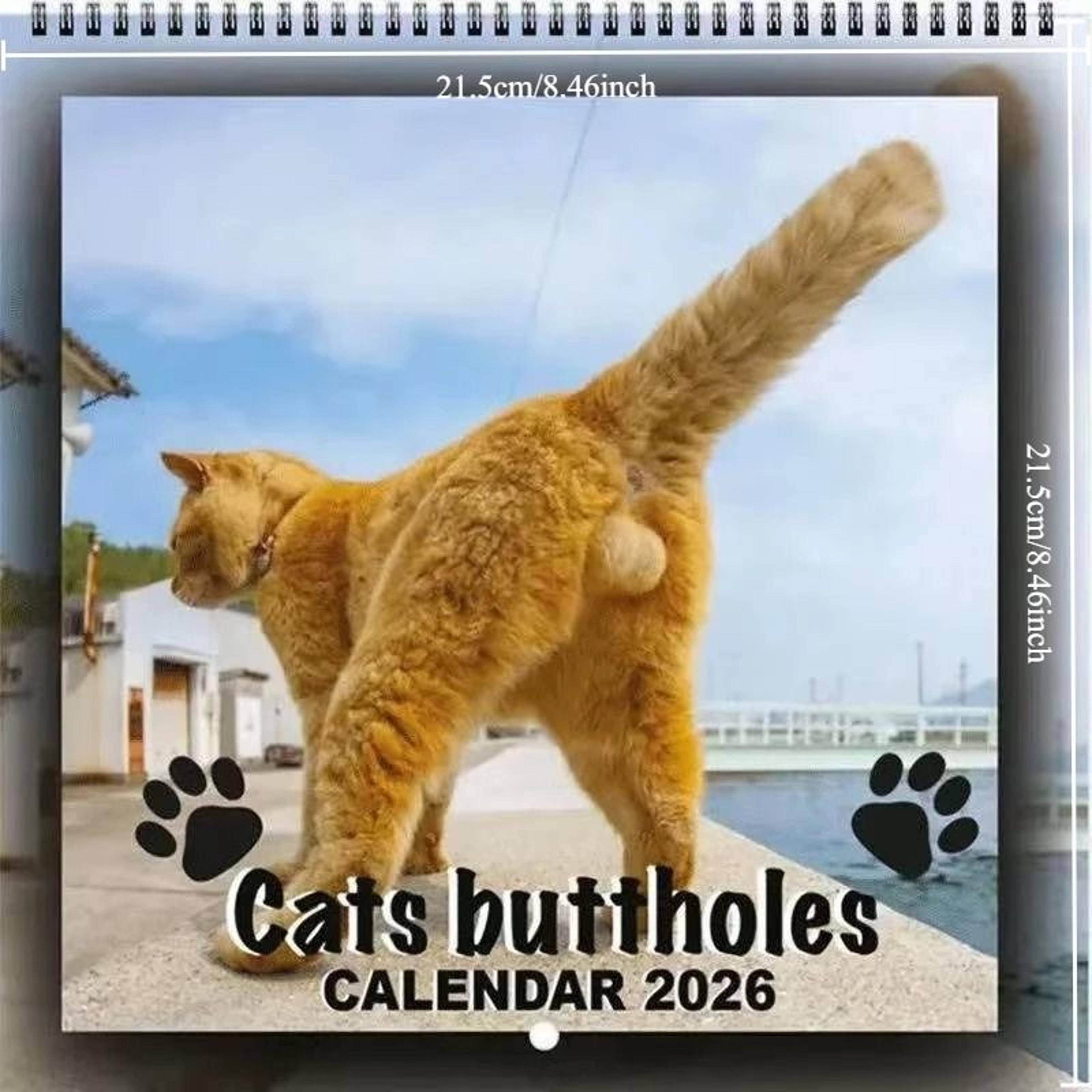 2026 Funny Dog Wall Calendar With Monthly Planner Pages 6