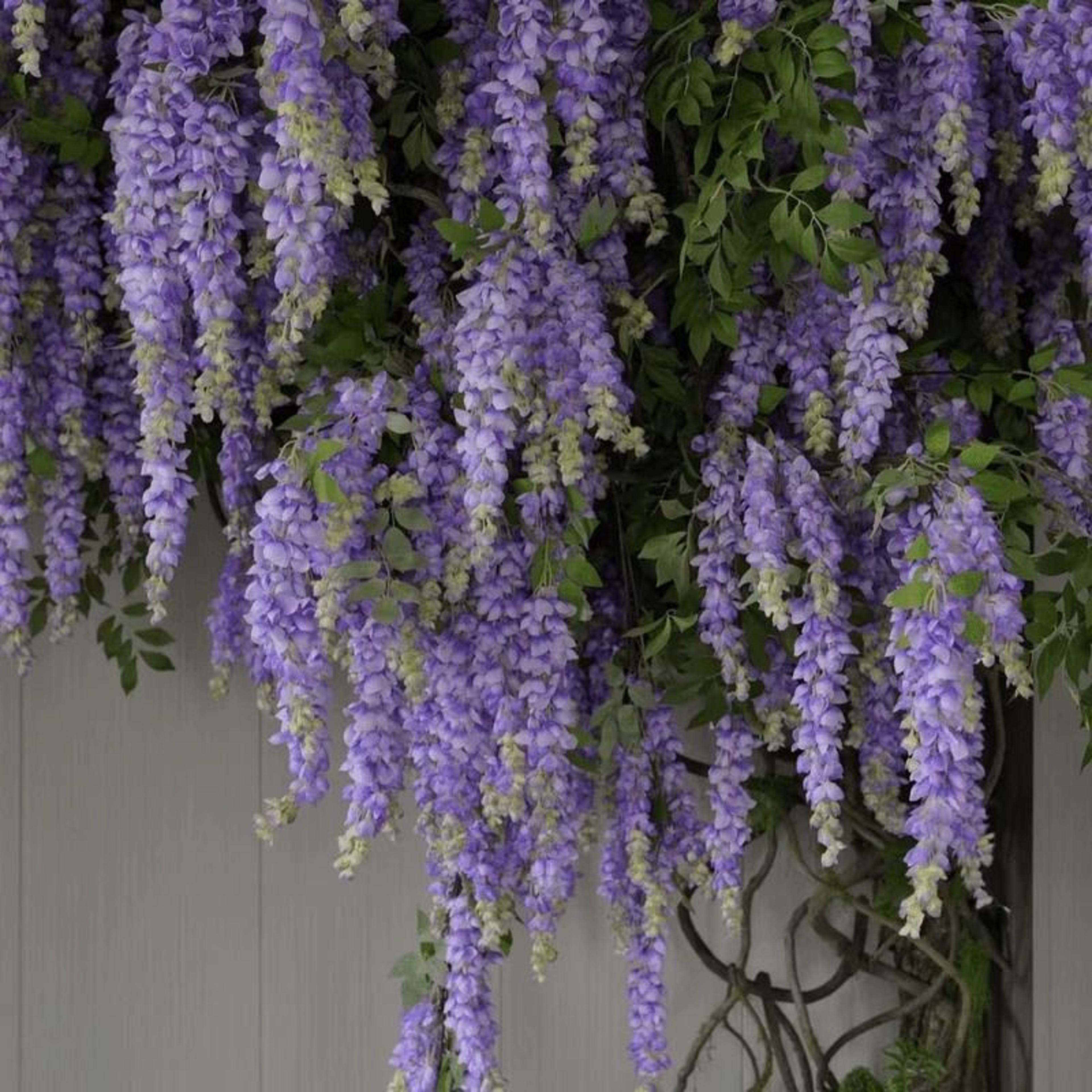 Artificial Wisteria Hanging Flower Garland Vine 5