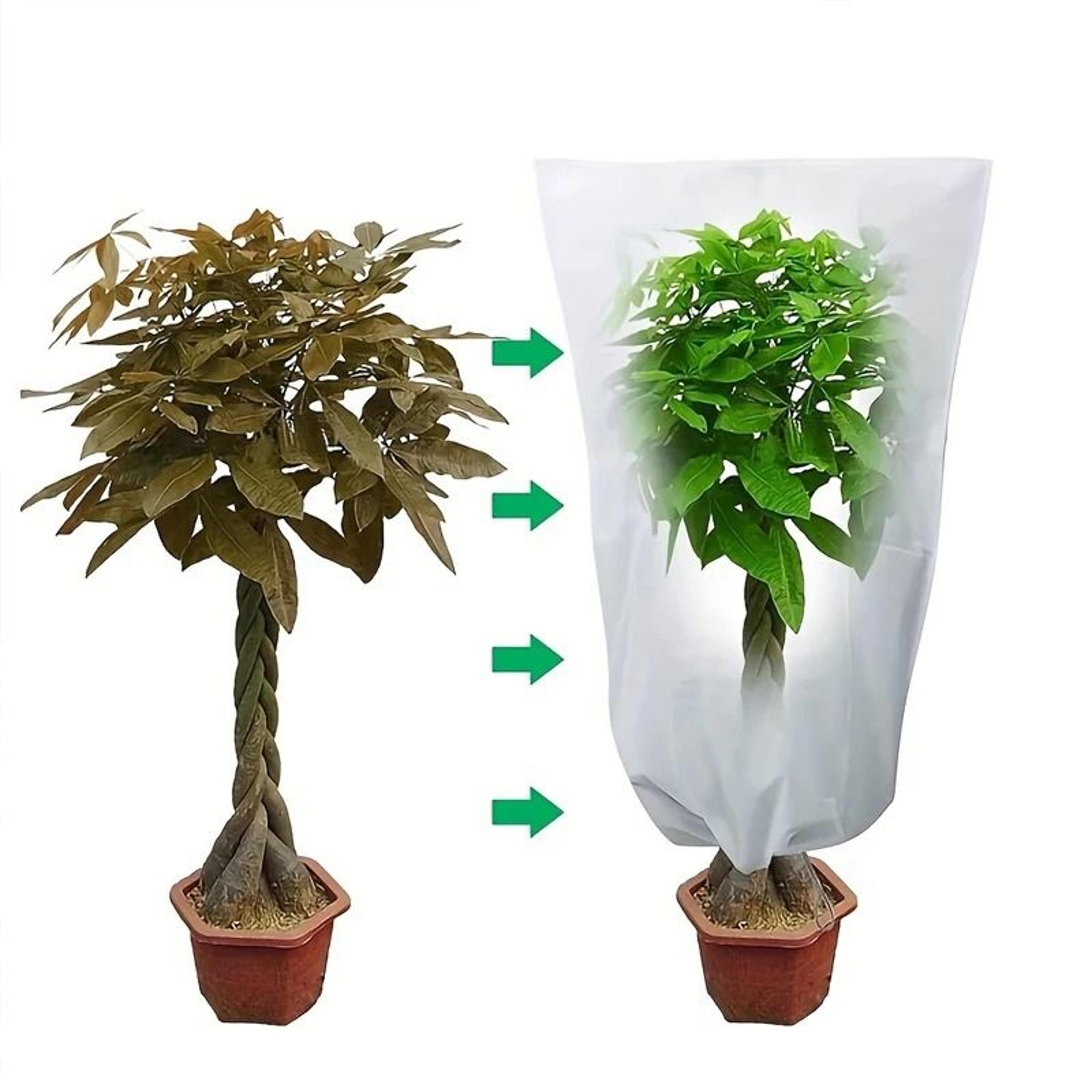 Large Frost Protection Plant Cover With Zipper And Drawstring 3