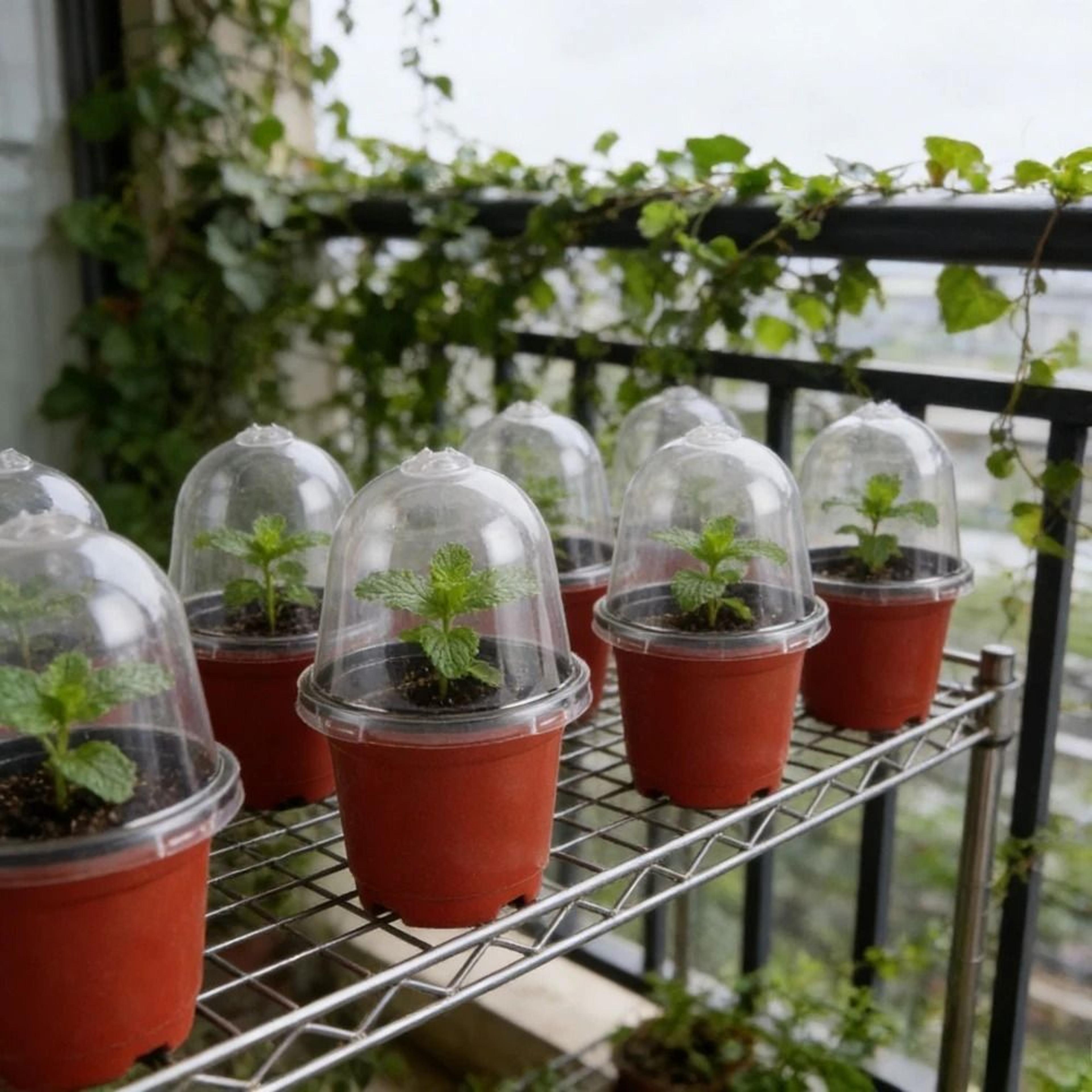 18 Piece Seed Starter Pots With Clear Humidity Domes 3