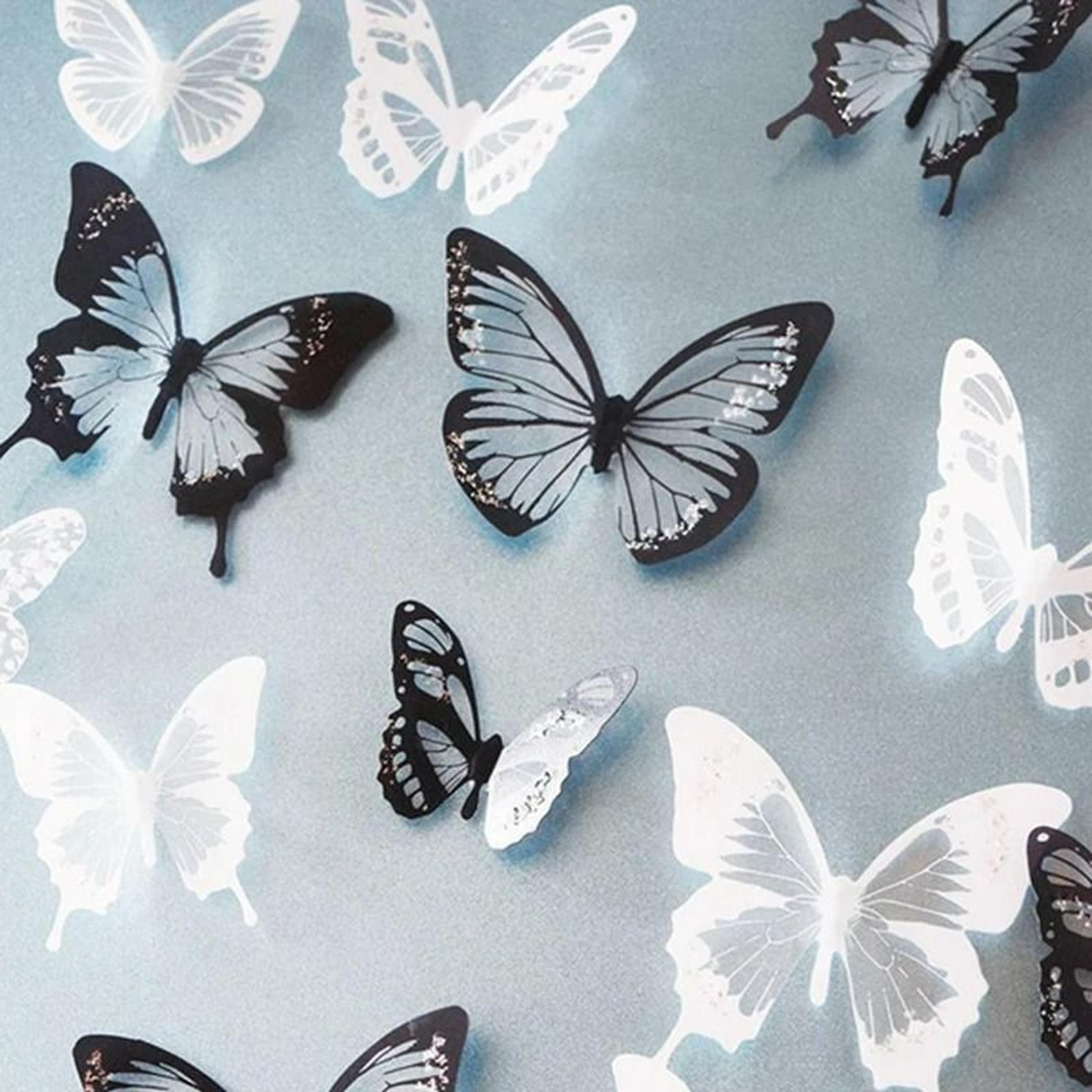 crystalwing butterfly wall decal set