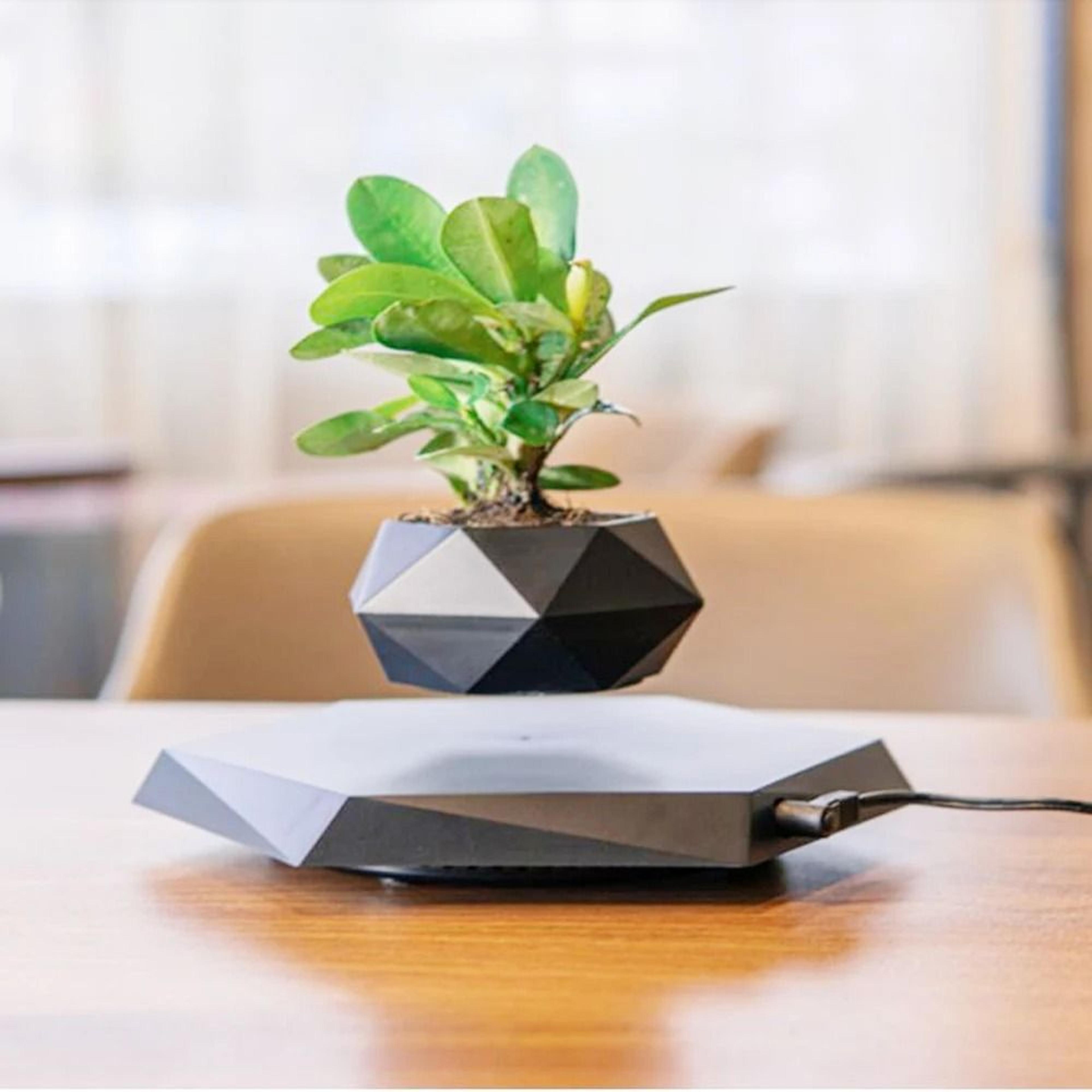 Levitating Air Bonsai Pot Rotation Flower Pot Planter Magnetic Suspension Floating Pot 9