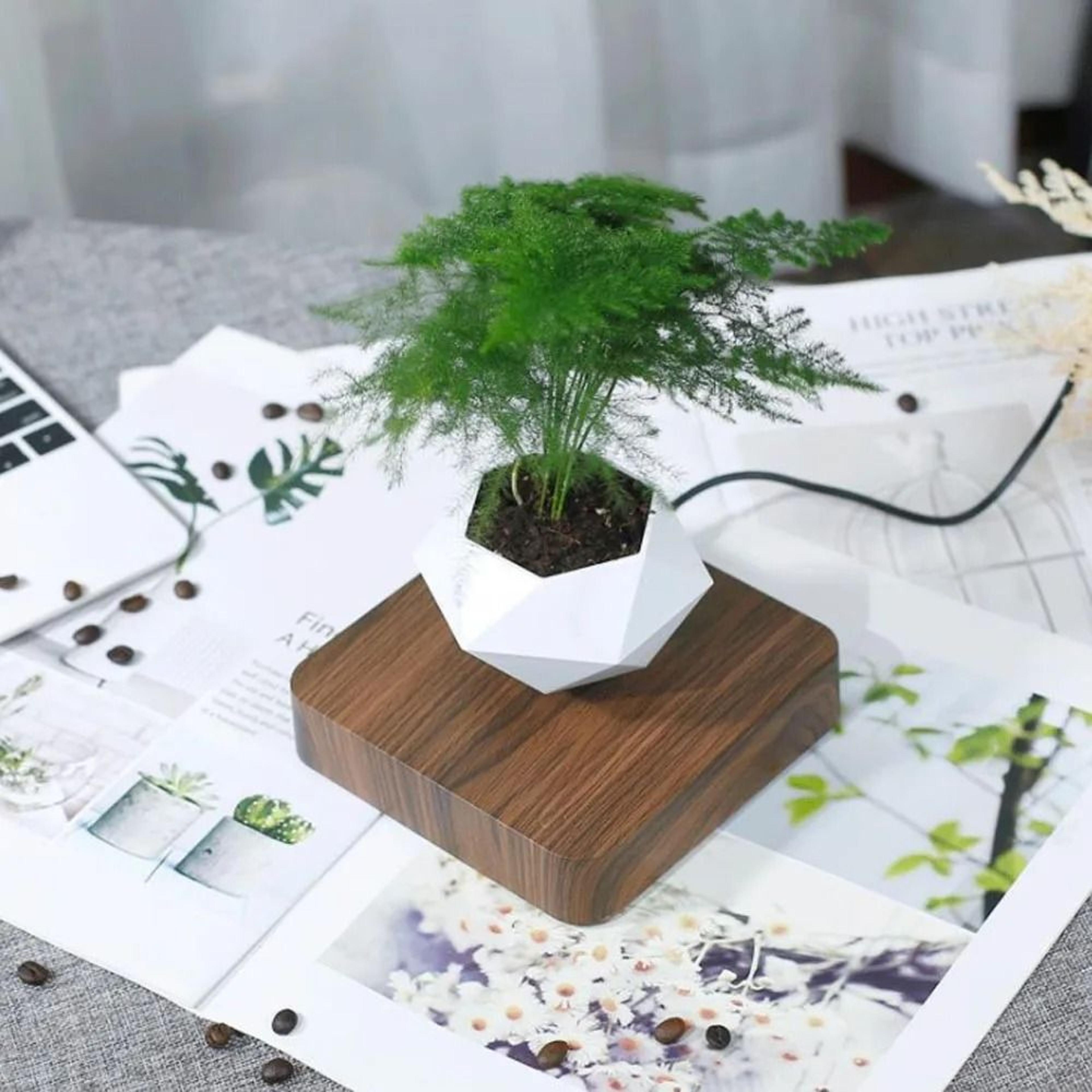 Levitating Air Bonsai Pot Rotation Flower Pot Planter Magnetic Suspension Floating Pot 5