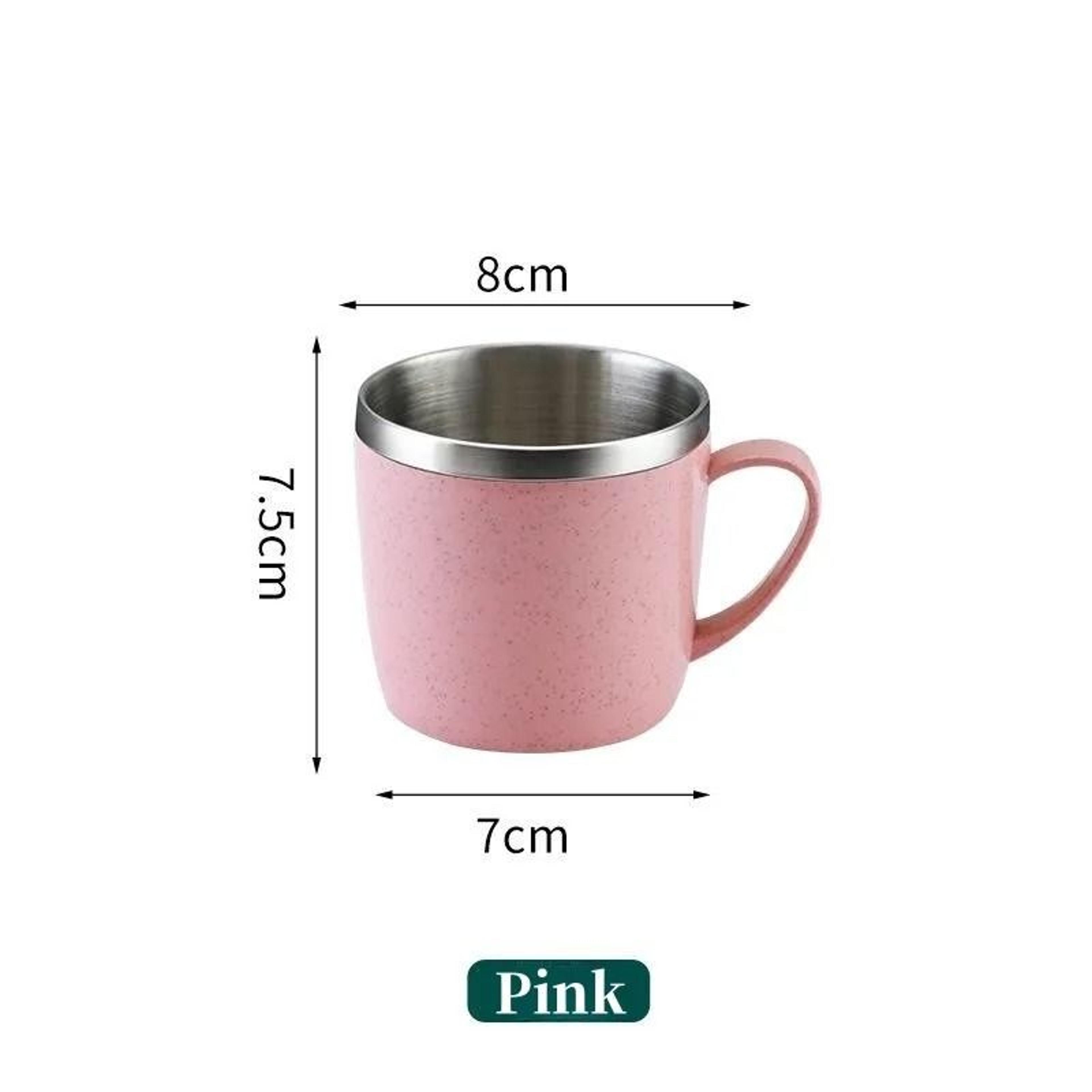 Double Layer Stainless Steel Coffee Mug With Plastic Handle For Home And Office 6