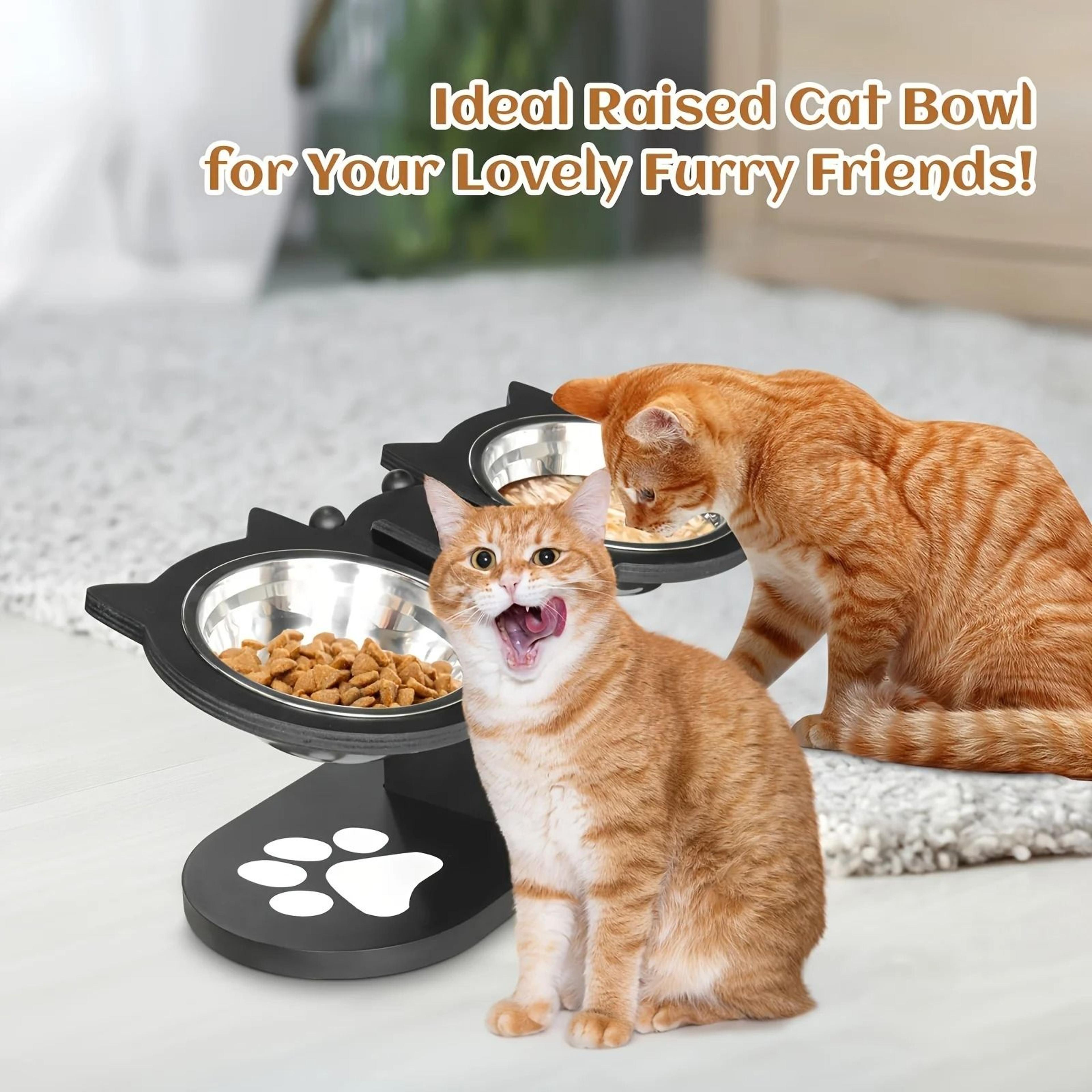Elevated Tilted Cat Food Bowls With Wooden Stand And Stainless Steel Bowls 2