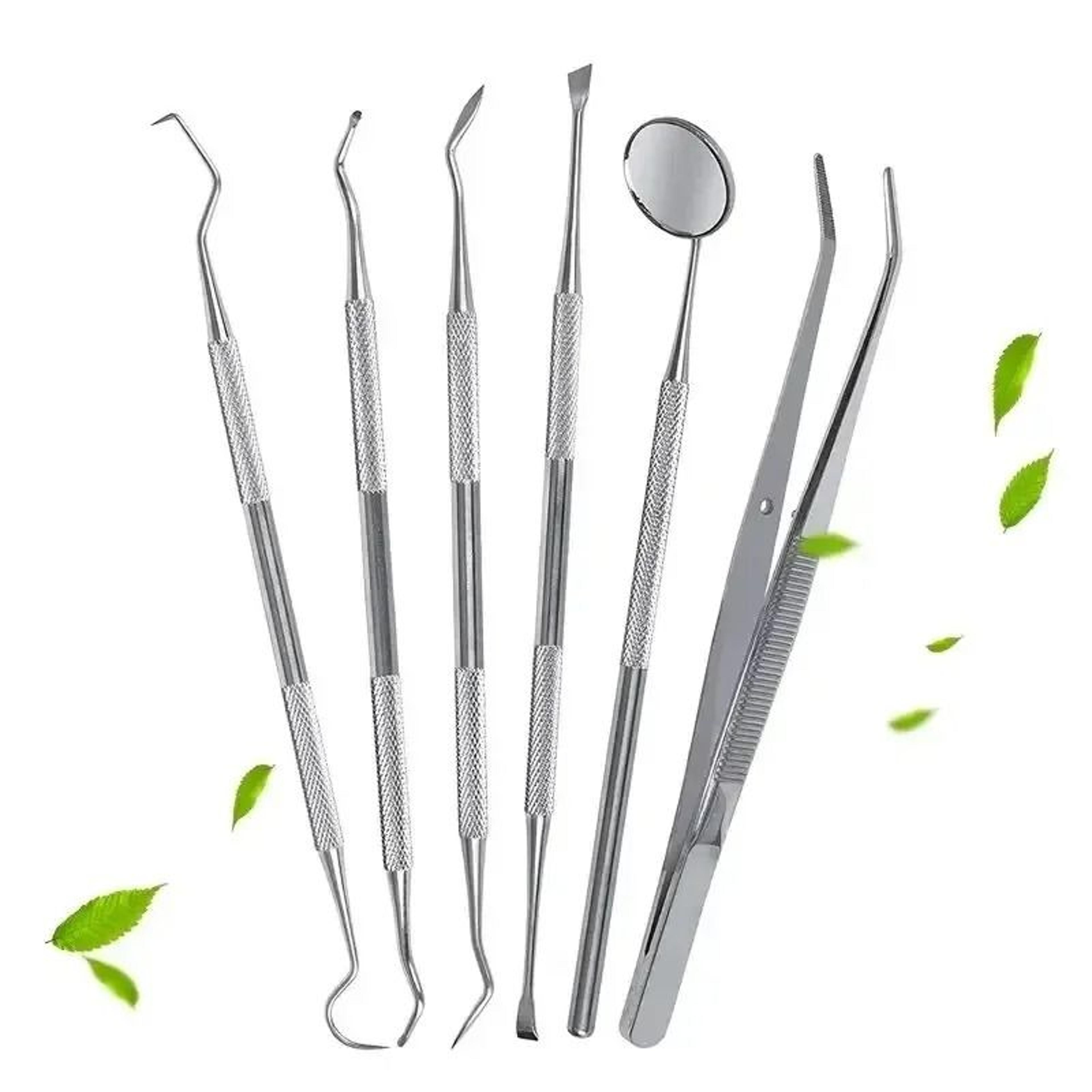 Stainless Steel Dentist Oral Care Kit 2