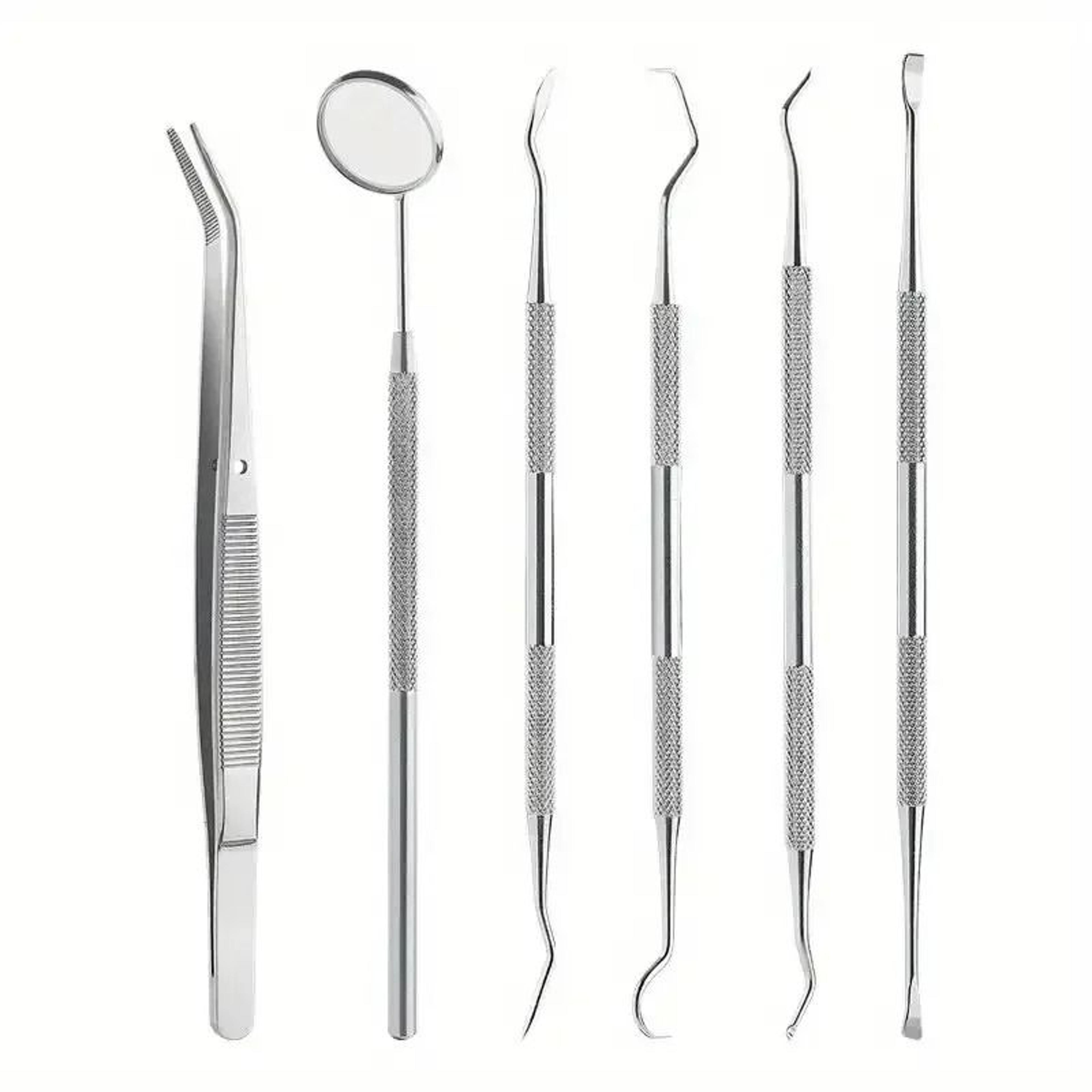 Stainless Steel Dentist Oral Care Kit 4