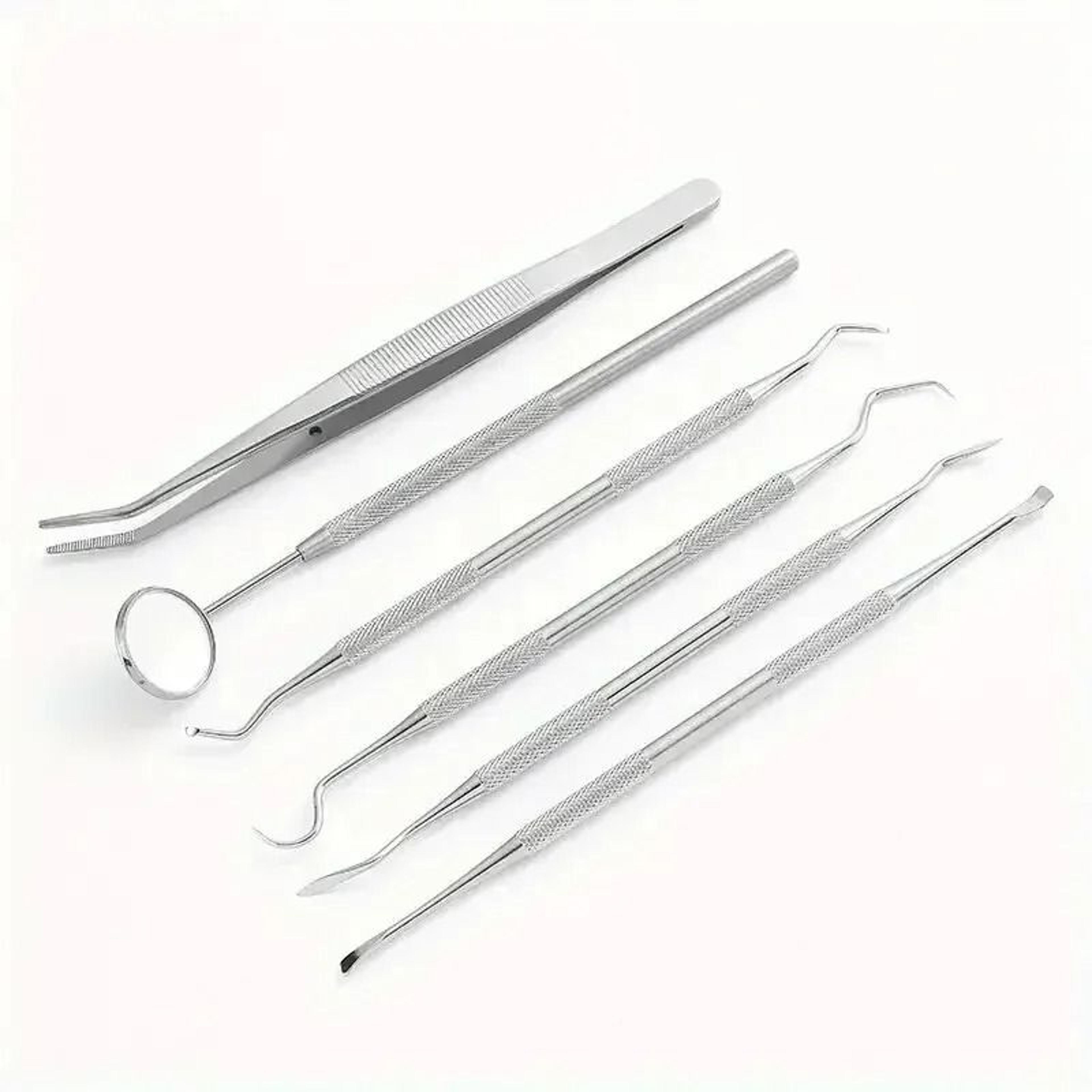 Stainless Steel Dentist Oral Care Kit 6