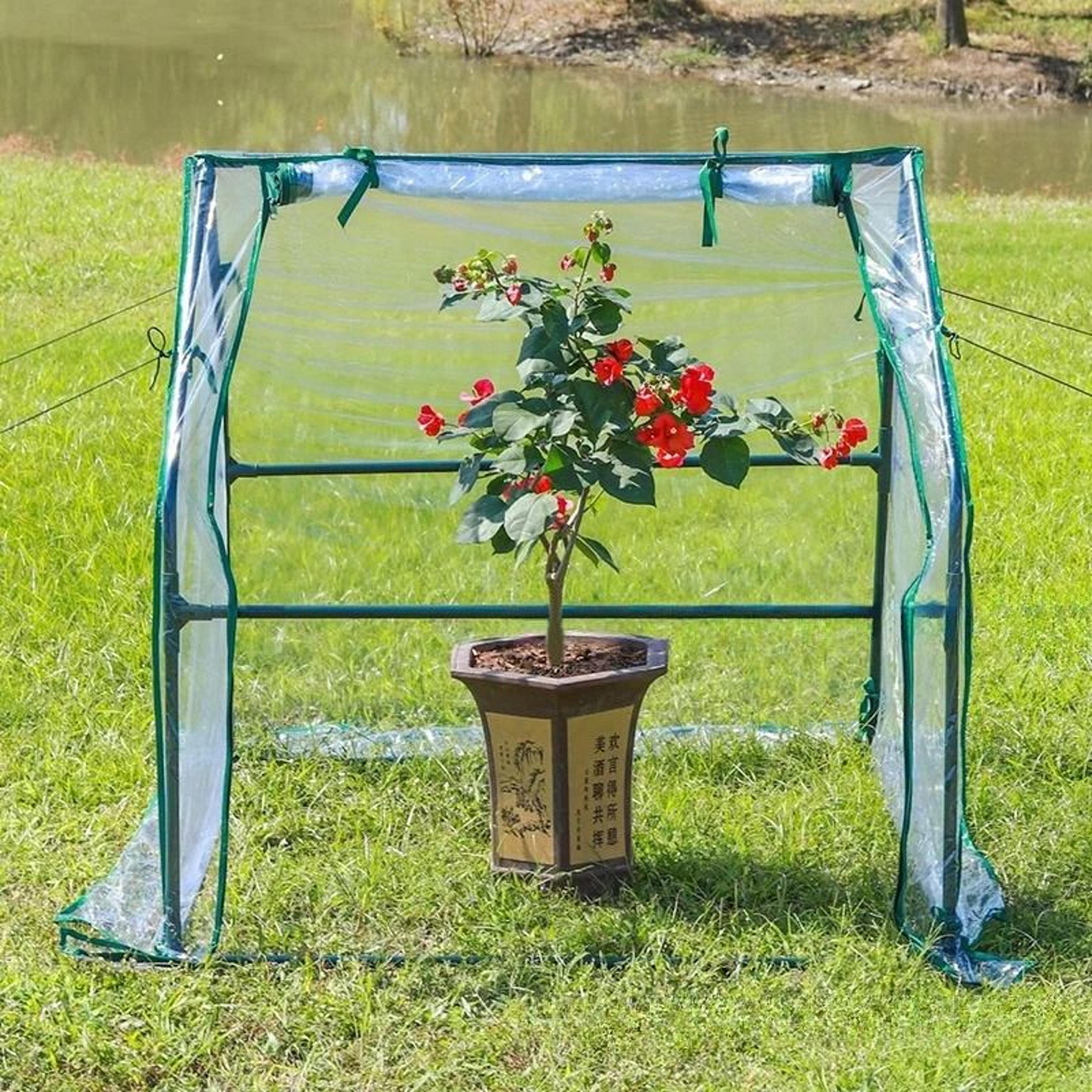 PopUp Mini Greenhouse  HighPerformance Winter Plant Warm Cover  Freeze Protection Tent 1