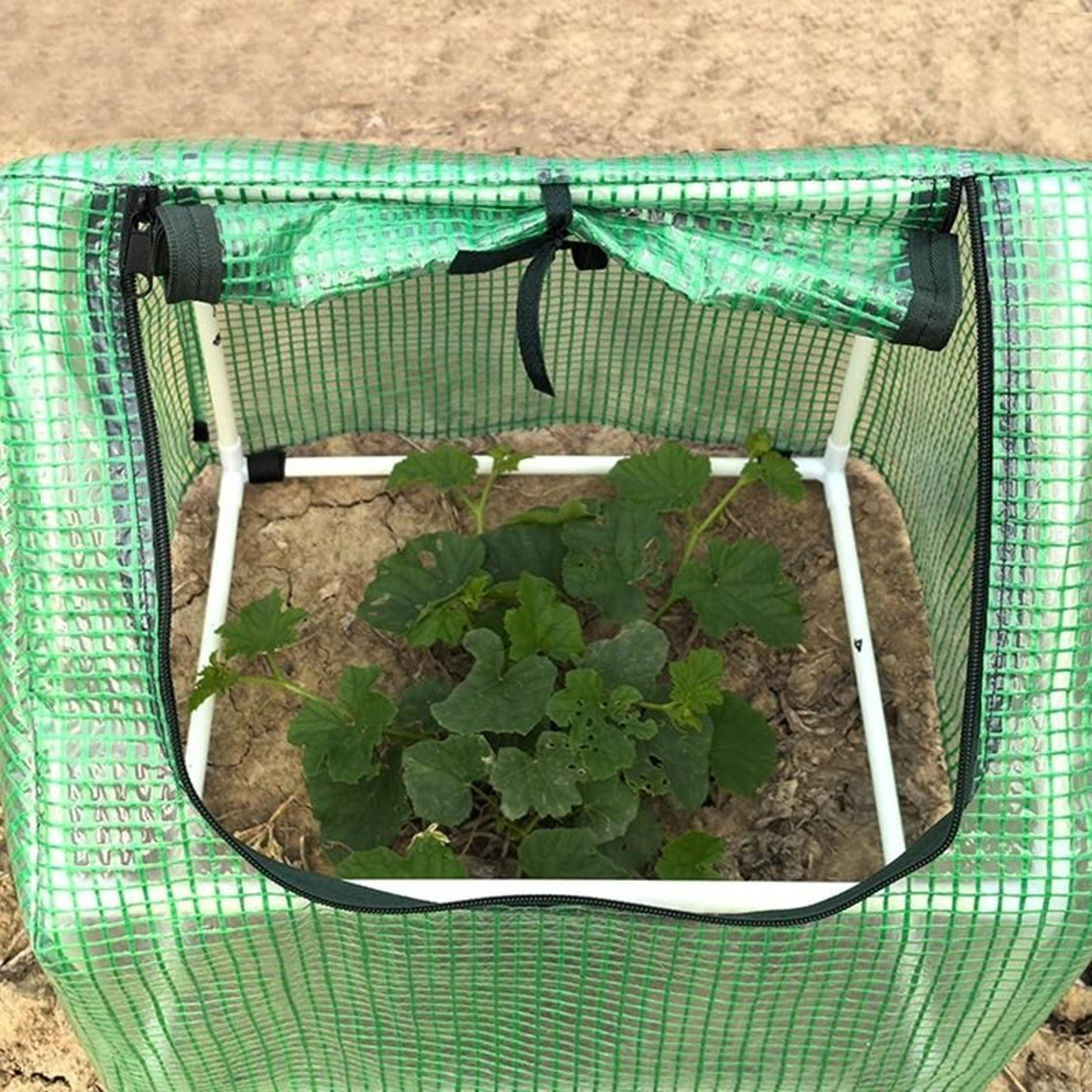 PopUp Mini Greenhouse  HighPerformance Winter Plant Warm Cover  Freeze Protection Tent 3