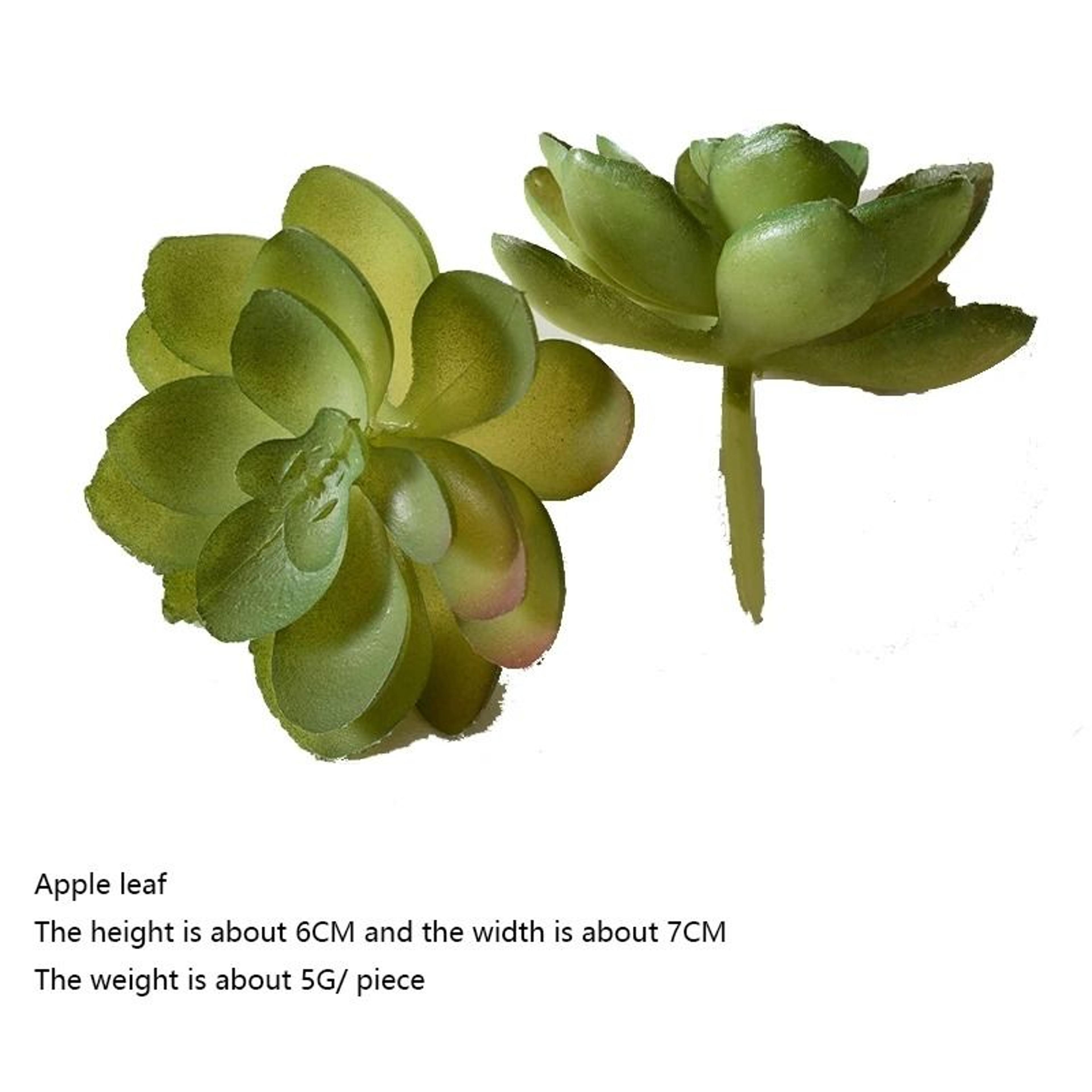 12Piece Green PVC Succulent Set  HighPerformance Faux Plant Collection For Home Garden  Small Bonsa 14