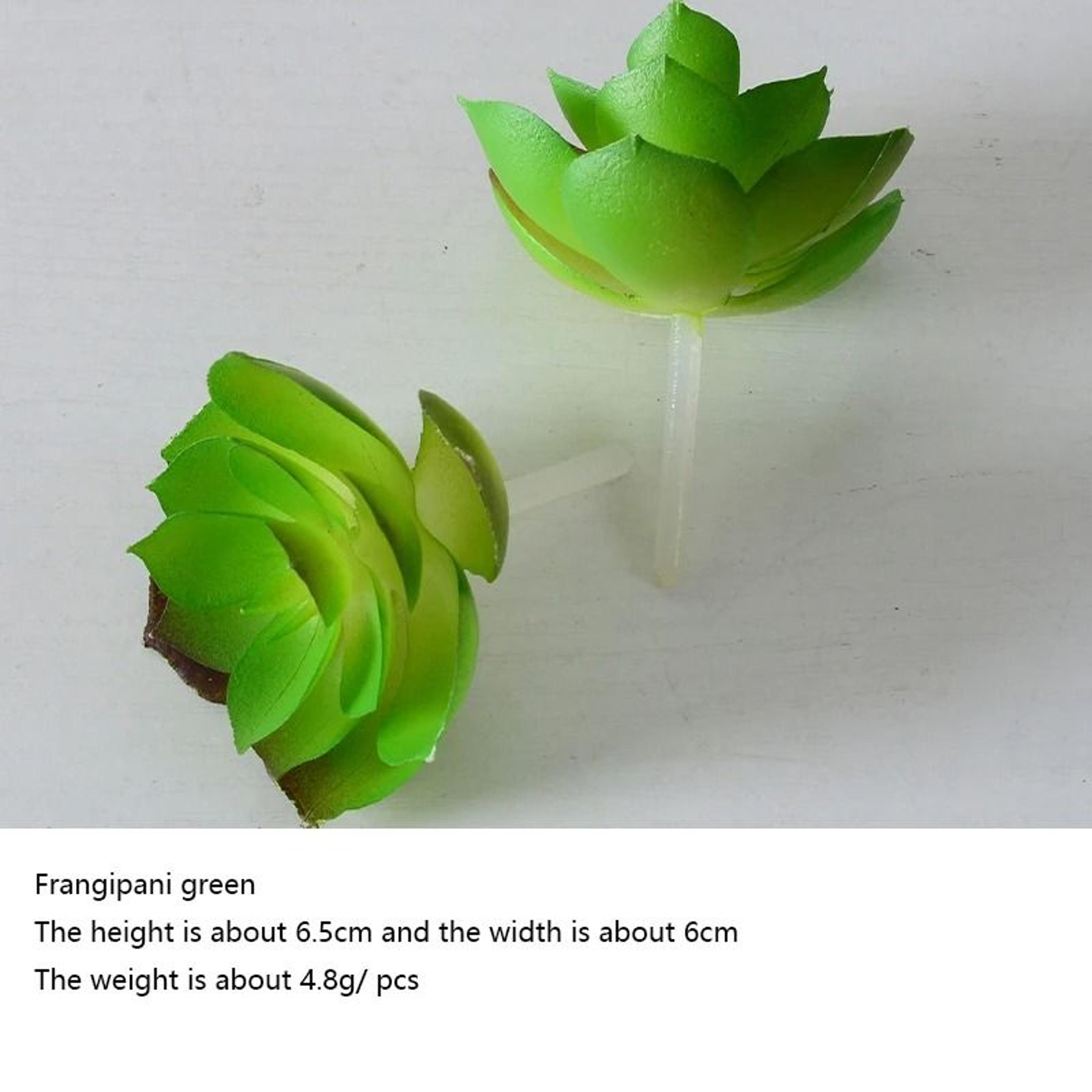 12Piece Green PVC Succulent Set  HighPerformance Faux Plant Collection For Home Garden  Small Bonsa 15