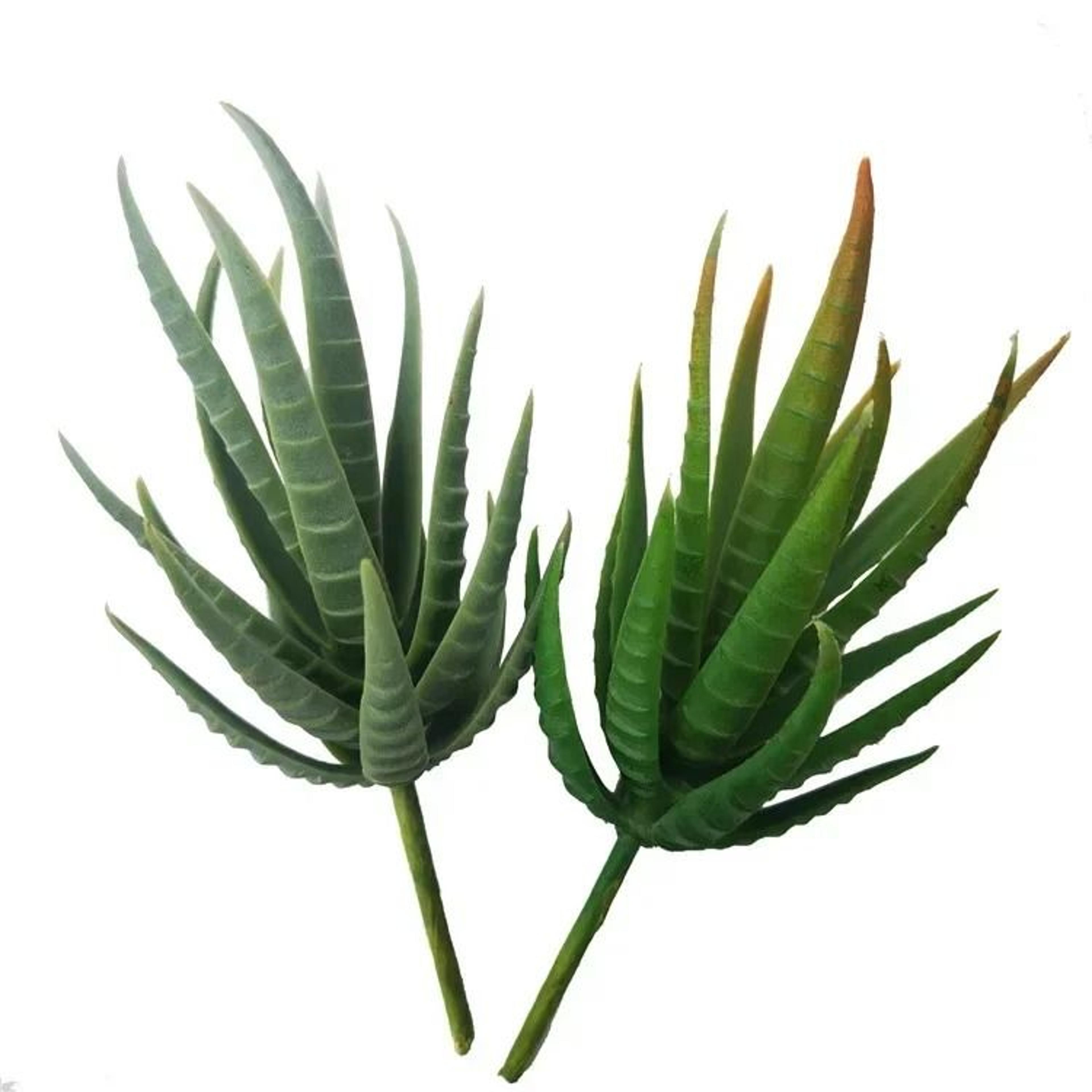 Artificial Desktop Succulent  HighPerformance 7x10cm Faux Plant For Garden Home DIY  Office Decorat 2