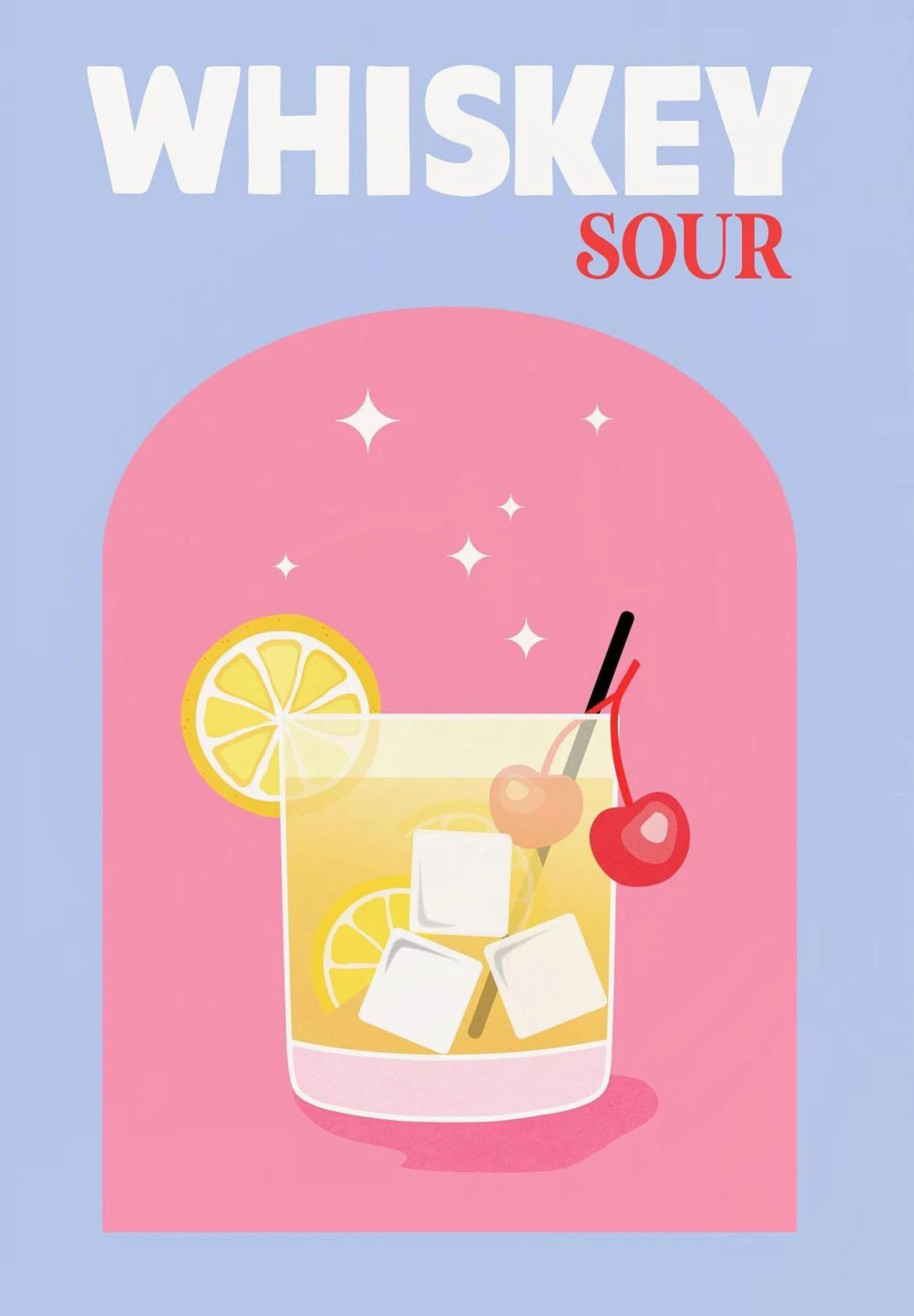 Trendy Colorful Cocktail Posters  Modern Whiskey Bar Cart Canvas Prints 7