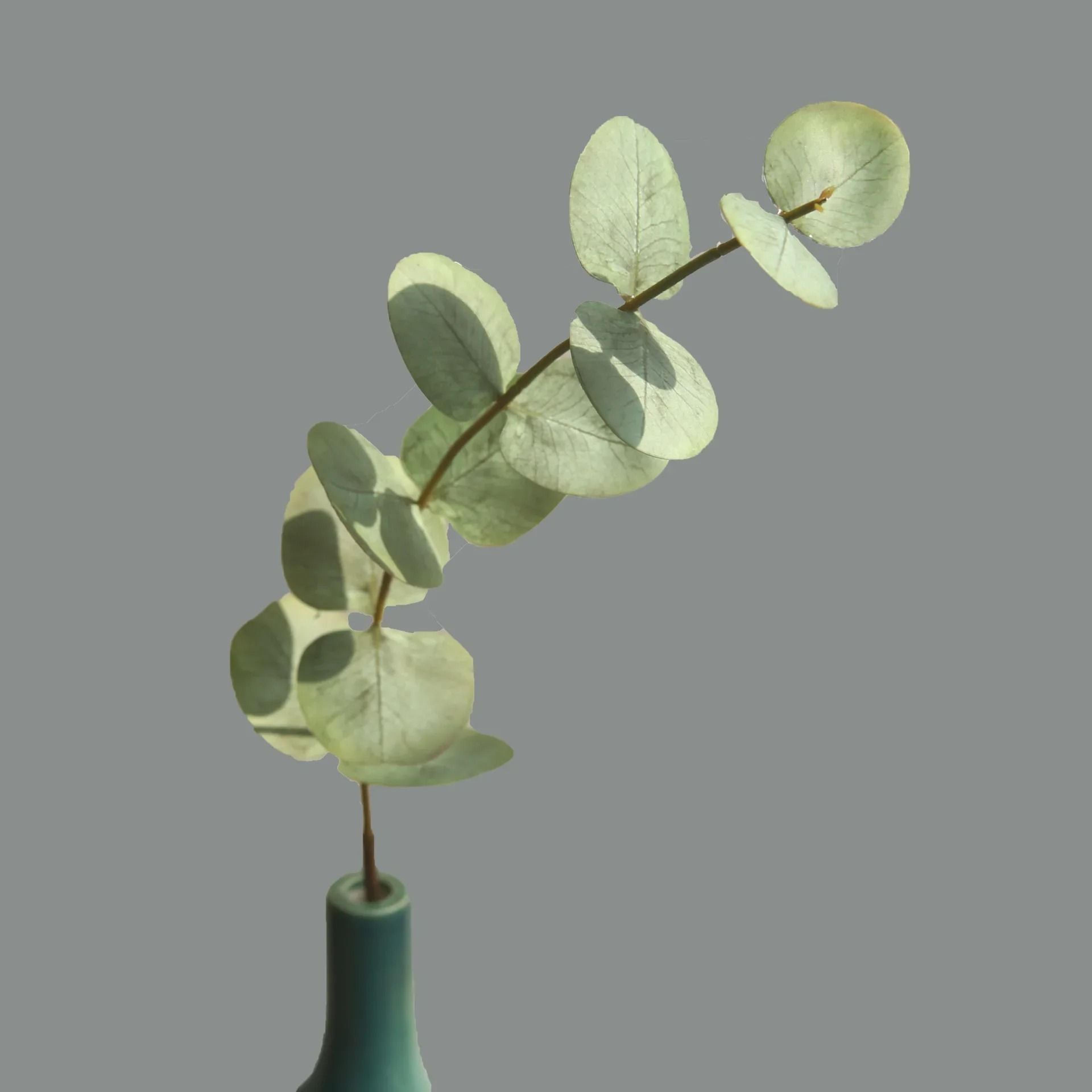 Premium RealTouch Artificial Eucalyptus Stems  10Piece HandFeel Foliage For Wedding Bouquets  Home  6