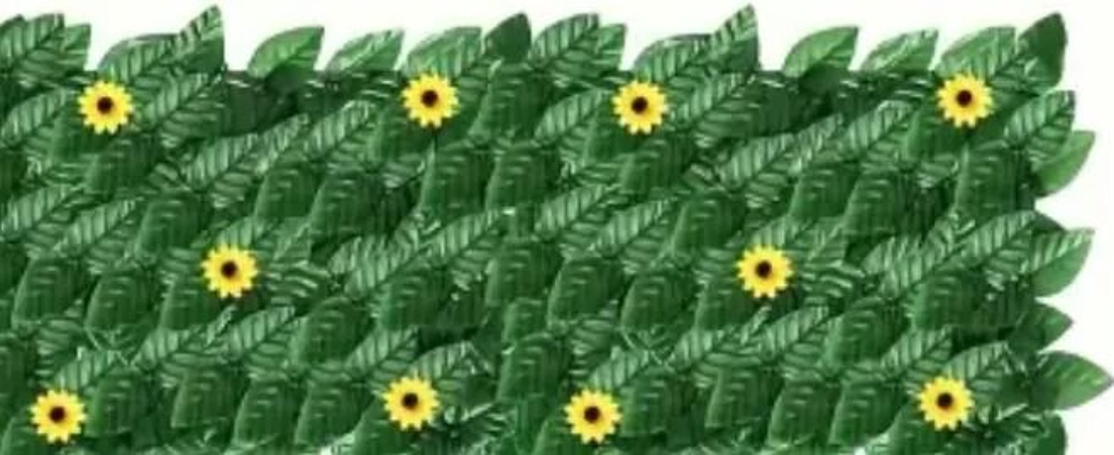 SunKissed Ivy Privacy Fence Screen  1m X 3m Sunflower  Faux Grass Wall Panel For Outdoor Balcony  G 6