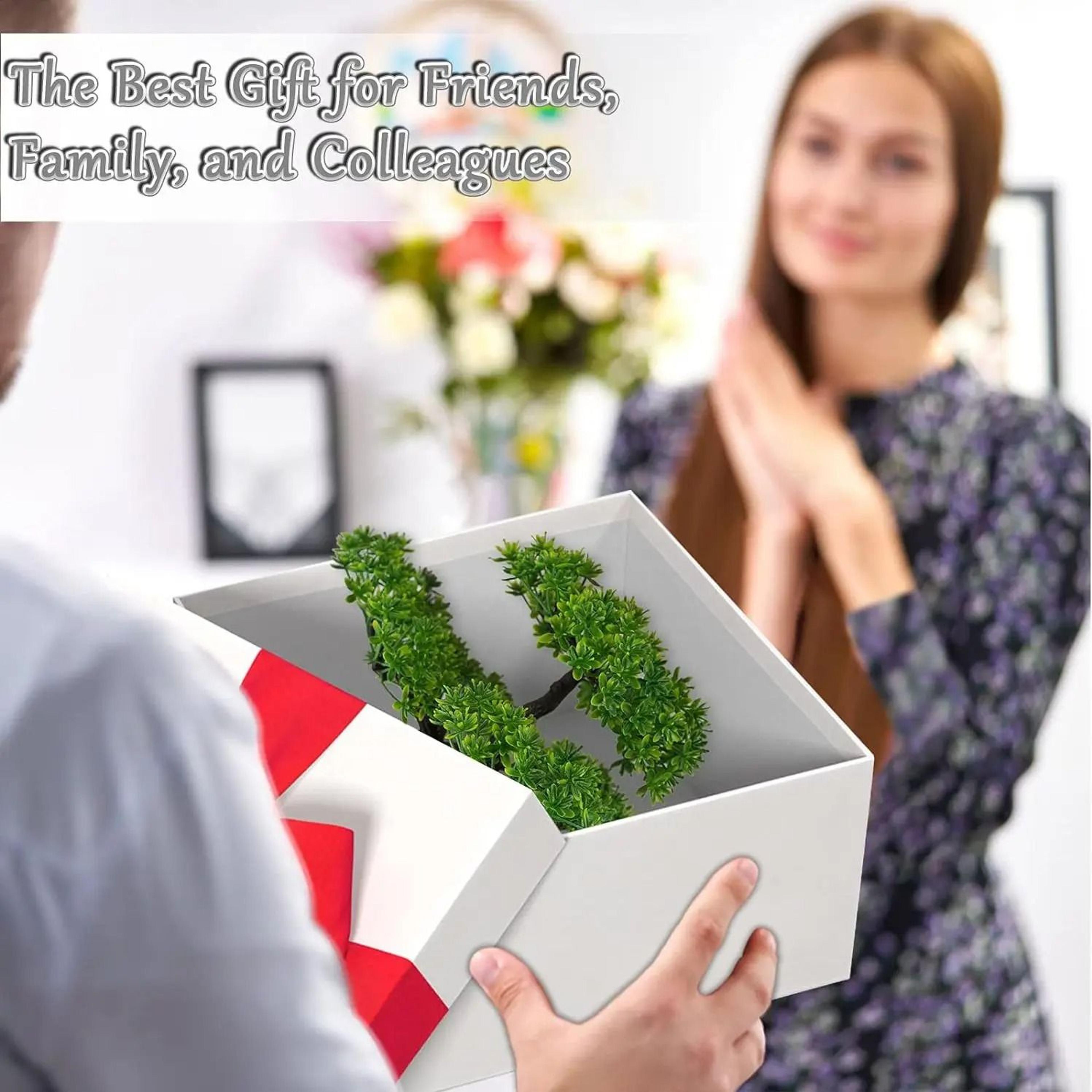 Modern Zen Artificial Bonsai Tree  Realistic Pine Greenery In Minimalist White Pot For Home  Table  3