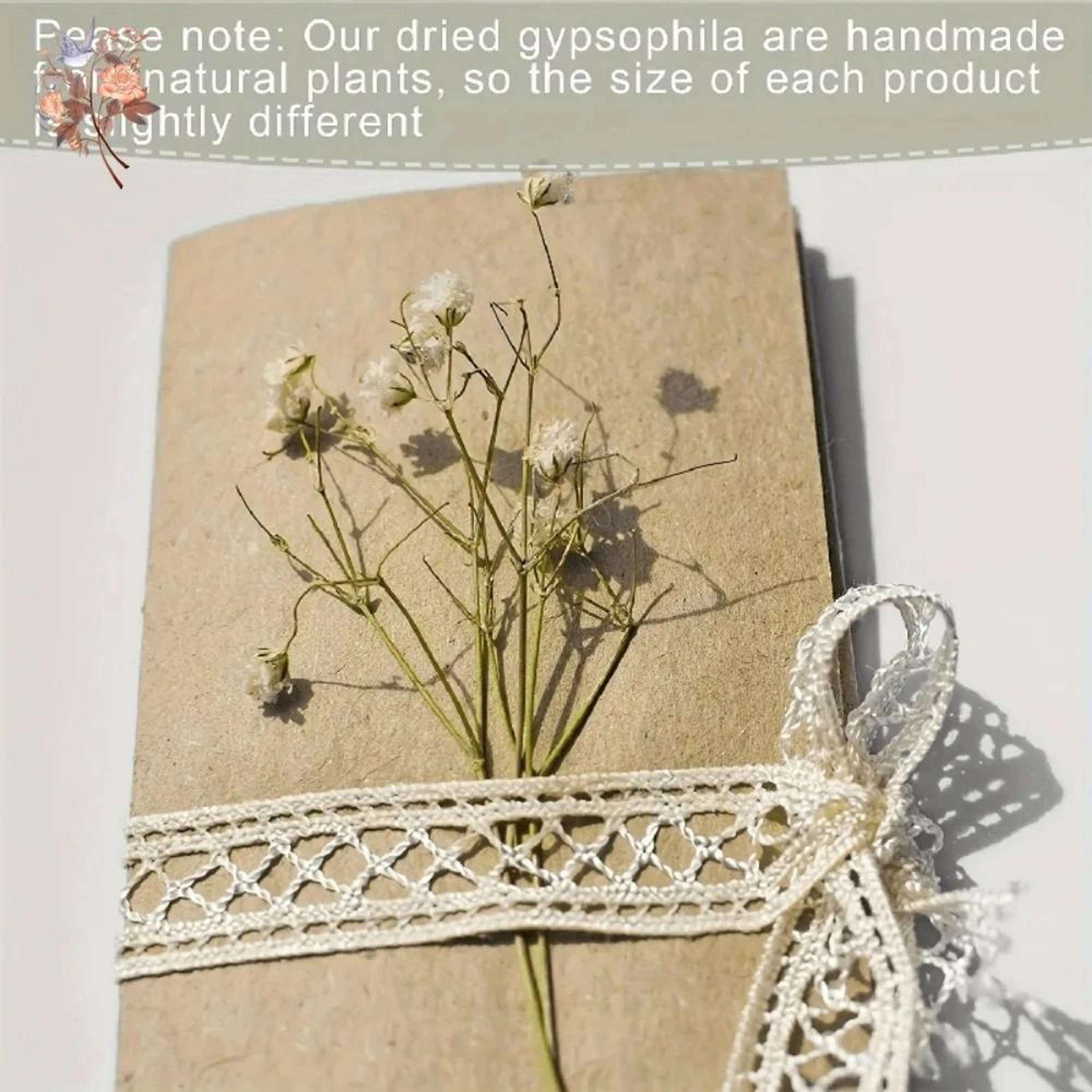 100Pcs Dried Babys Breath Flowers  Real Gypsophila For Resin Crafts DIY Wedding  Home Decor 3