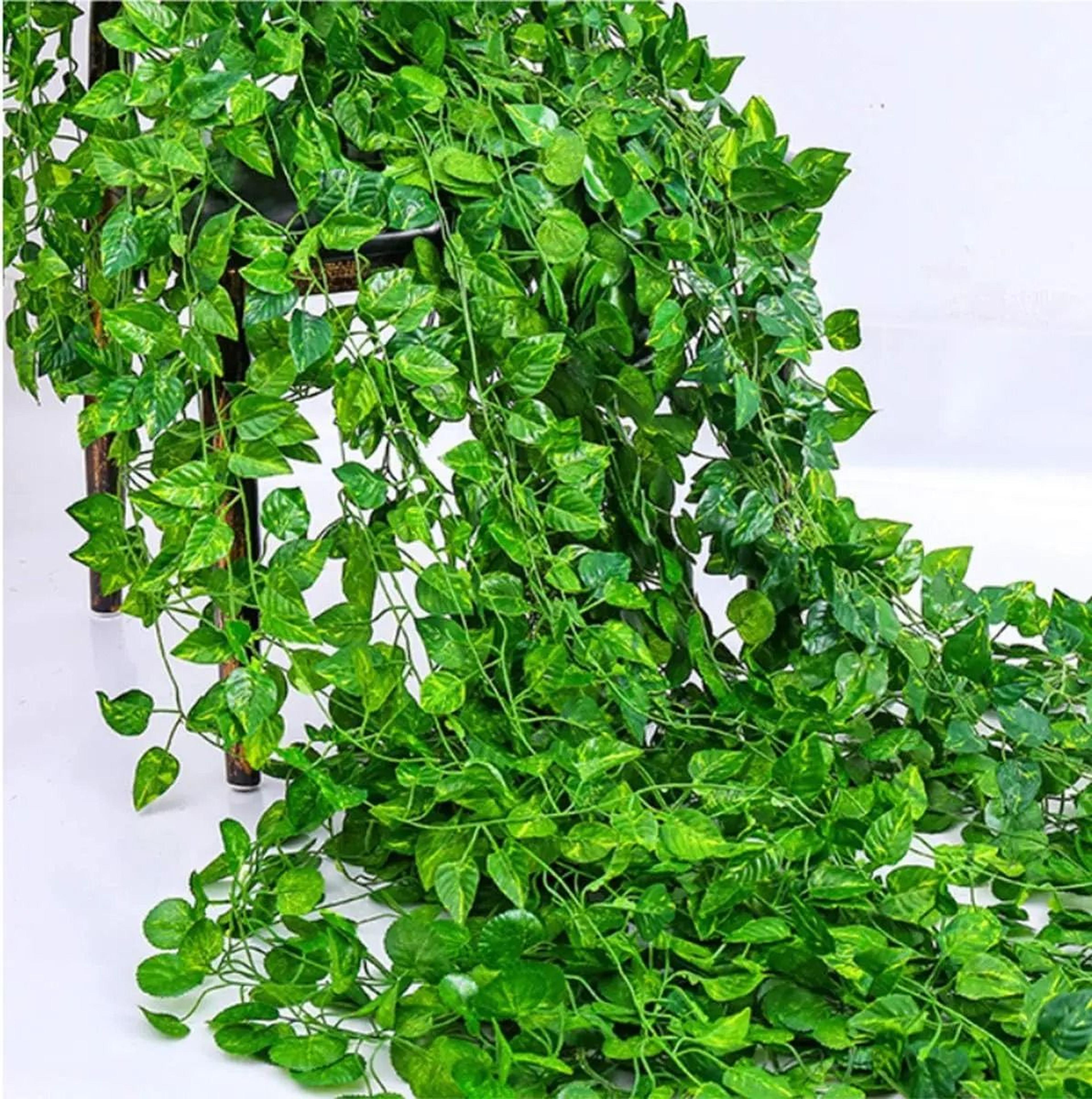 Artificial Green Ivy Vine Garland  2M Fake Leaf Rattan Hanging Creeper For Garden Wedding  Wall Dec 1