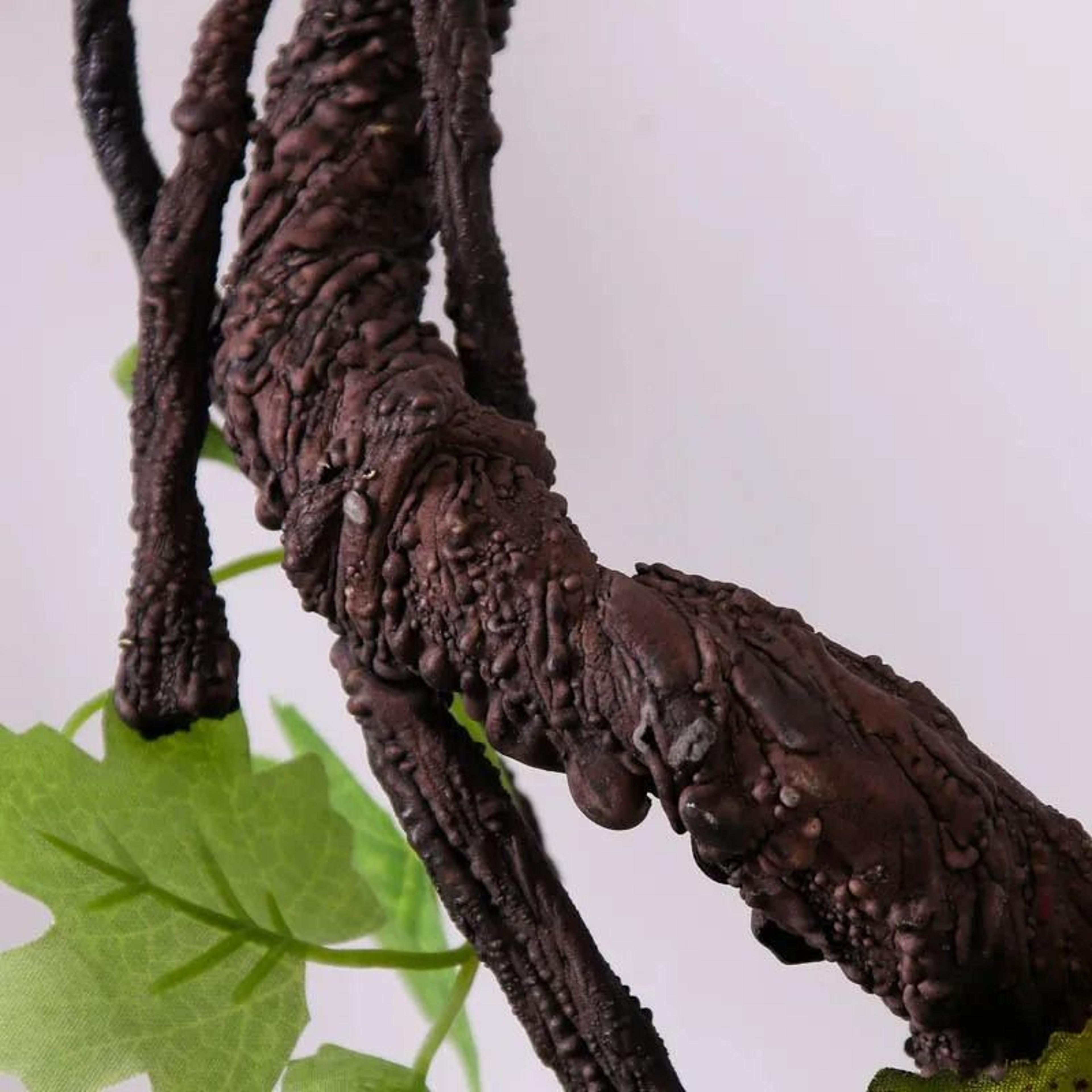 Artificial Dead Tree Vine Rattan  Realistic Twisted Jungle Branch  Modern Pipe Landscaping  Wedding 3