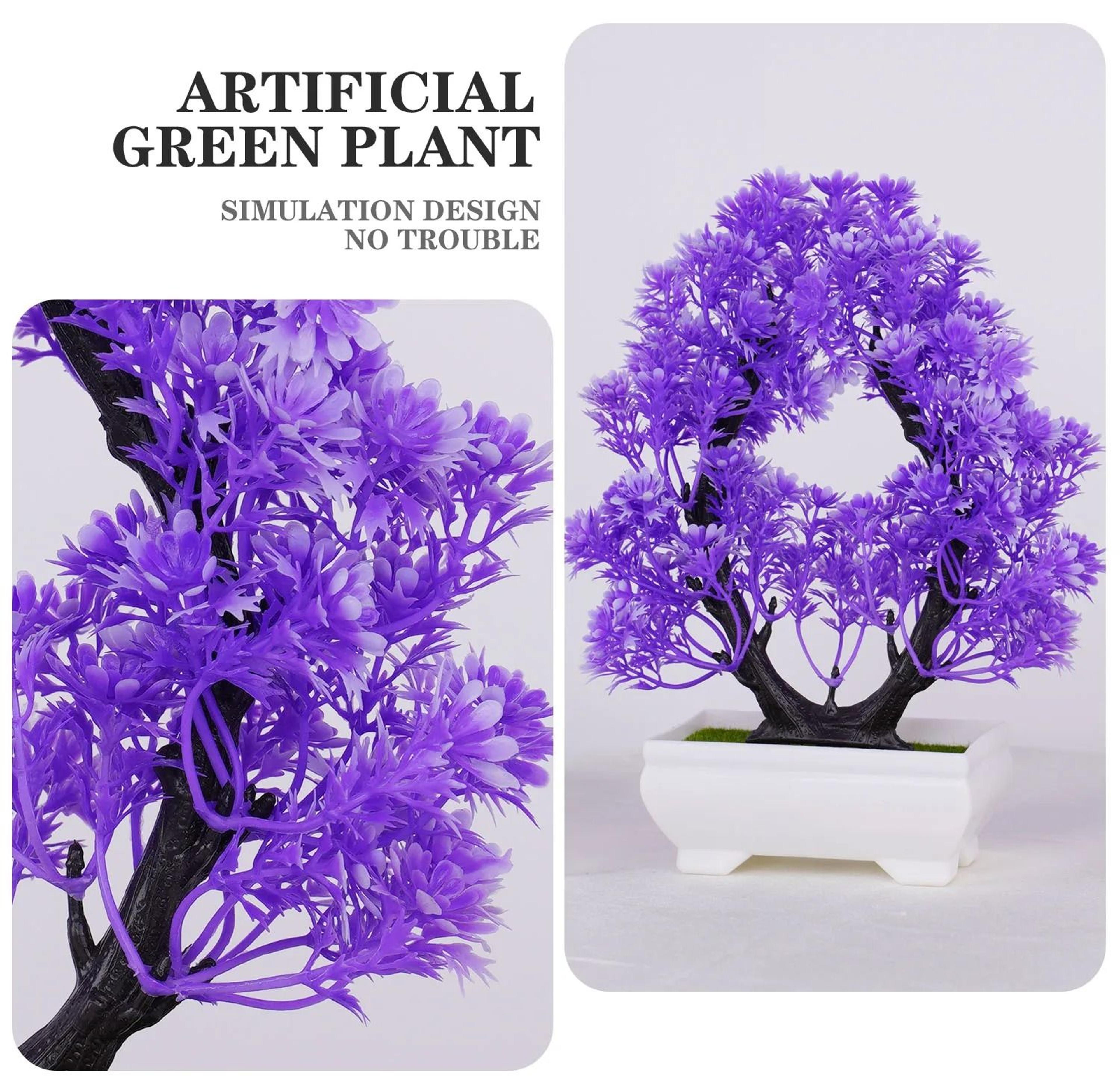 Botanical Zen Specimen  Miniature Potted Bonsai Sculpture  Executive Suite  Office Sanctuary Decor 2