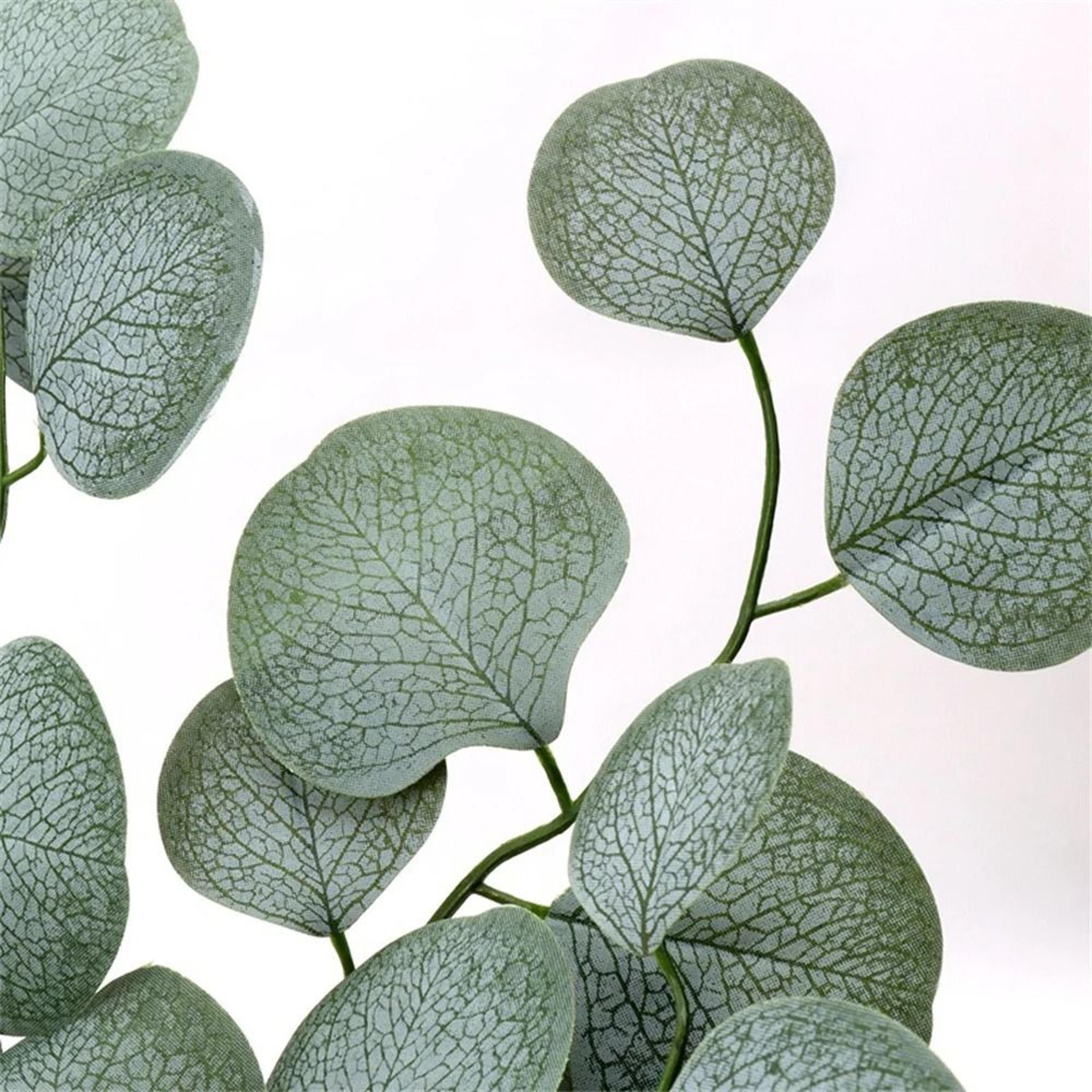 Botanical Eucalyptus Spray  56Leaf Silver Dollar Foliage  Executive Studio  Wedding Sanctuary Decor 5