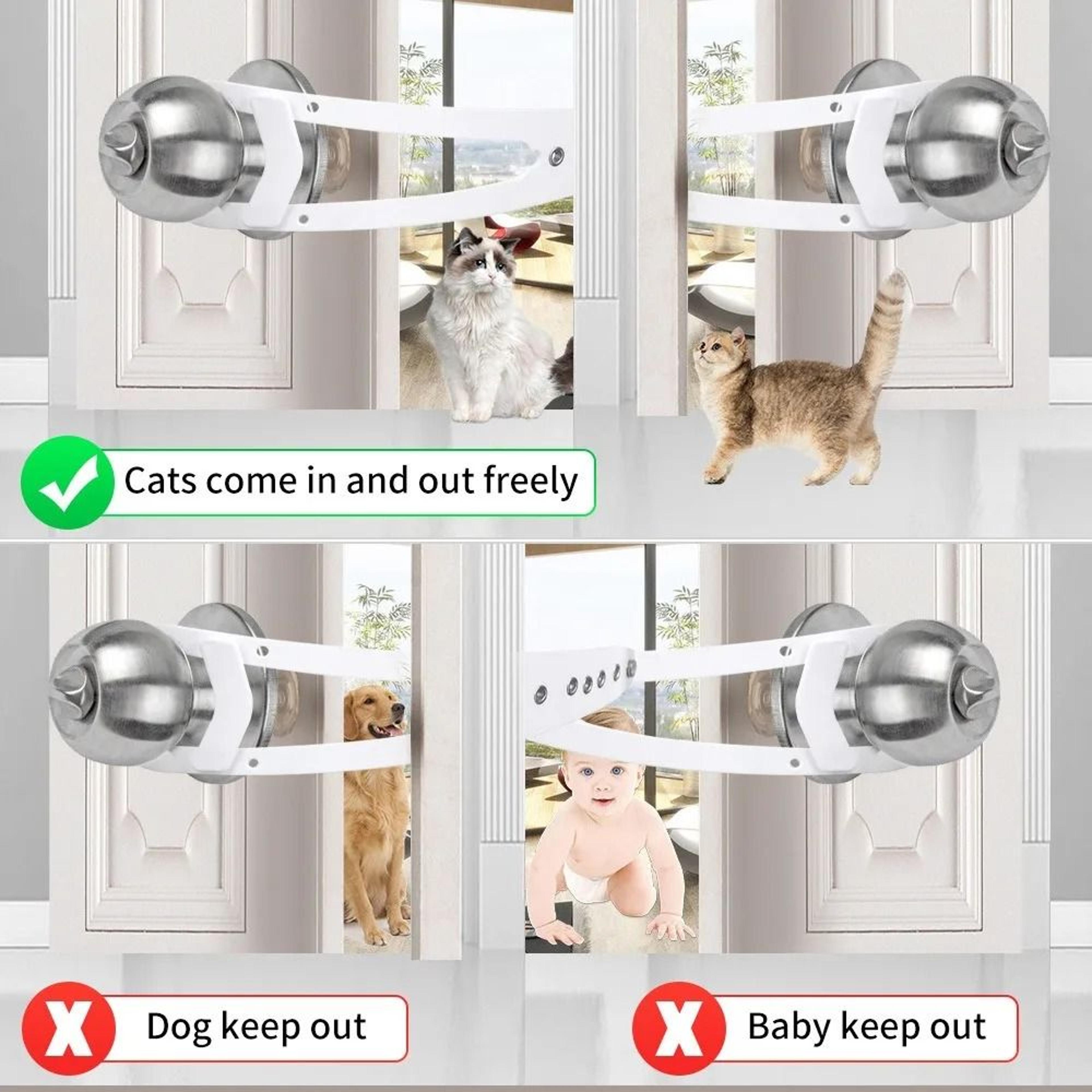 ProGap InterSpecies Perimeter Lock 5