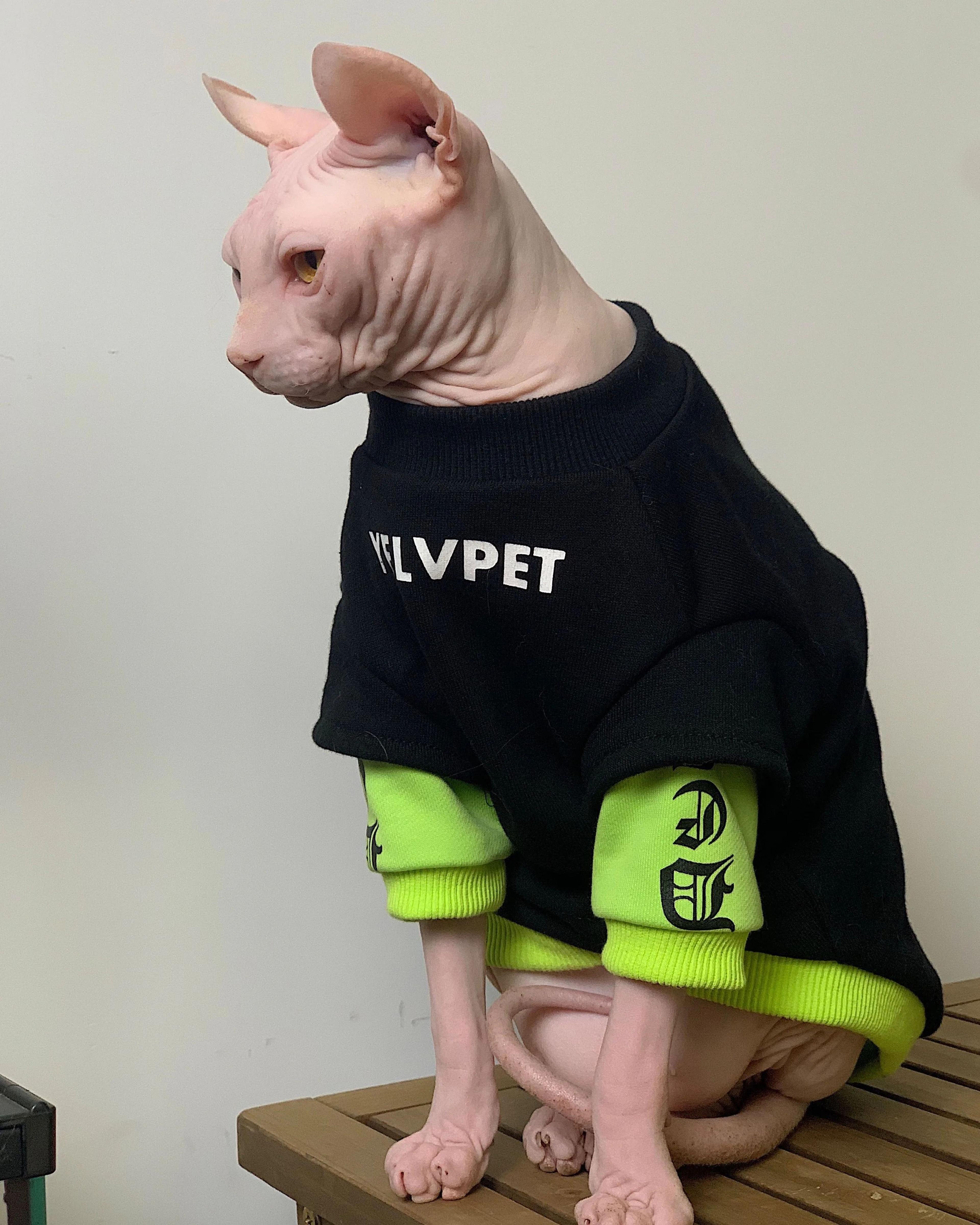 Chic Winter Cotton Sweatshirt For Hairless Cats 2