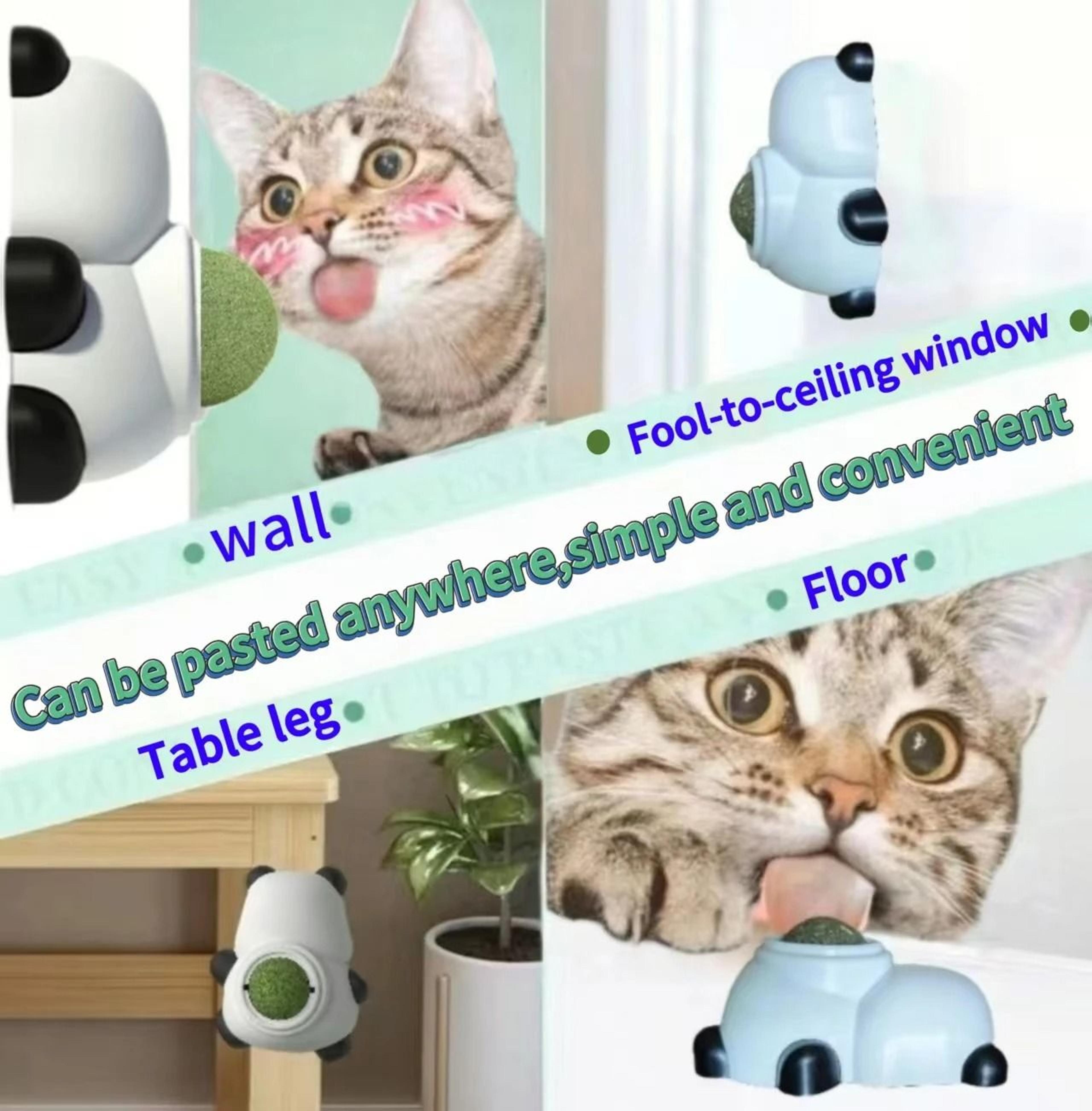 NutriSpin WallMounted Natural Catnip Ball 3