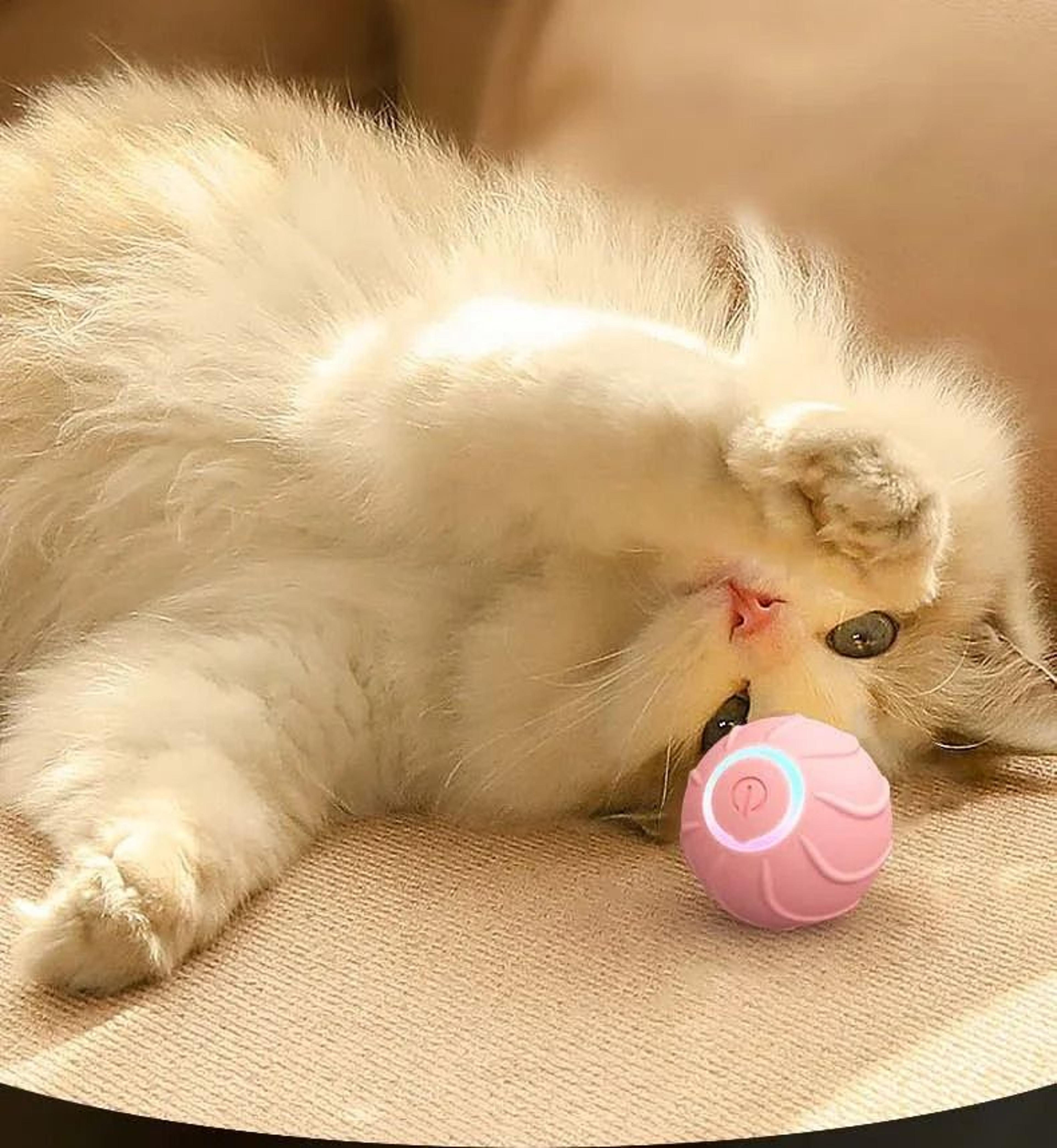 Smart Automated Rolling  Bouncing Cat Toy Ball 2
