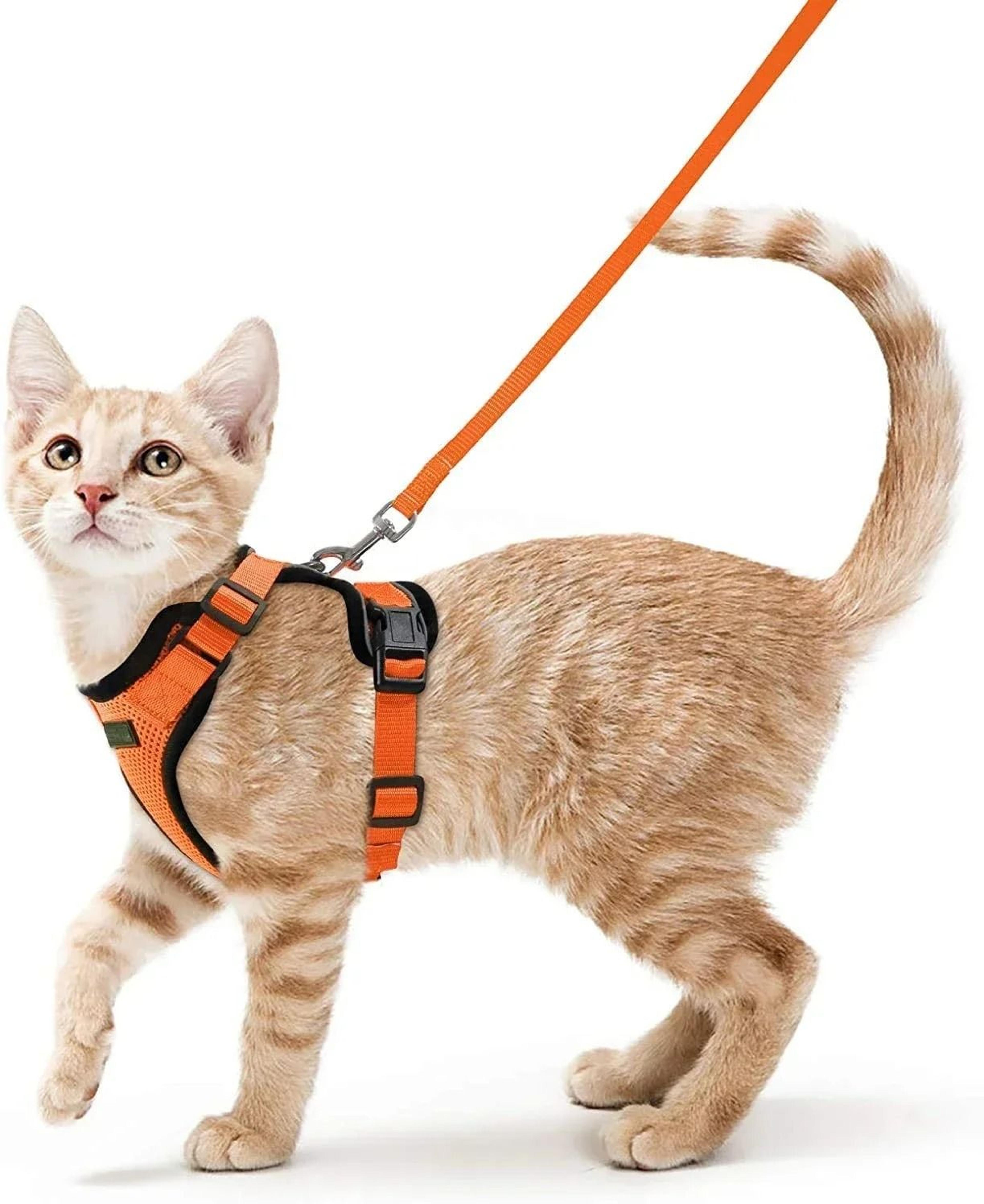 ATUBAN Escape Proof Cat Harness And Leash Set With Breathable Reflective Vest 7